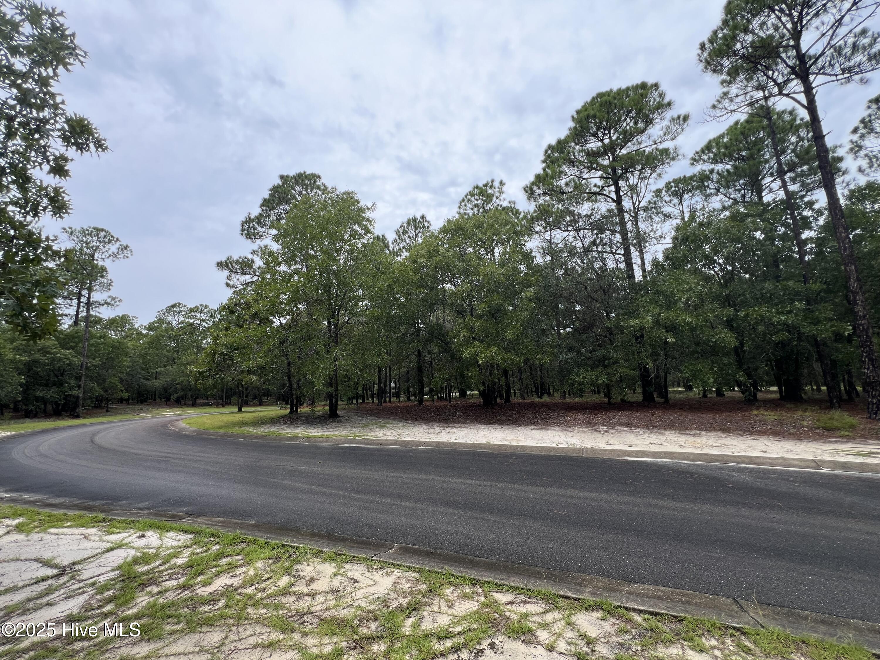 100527062 | Photo 22