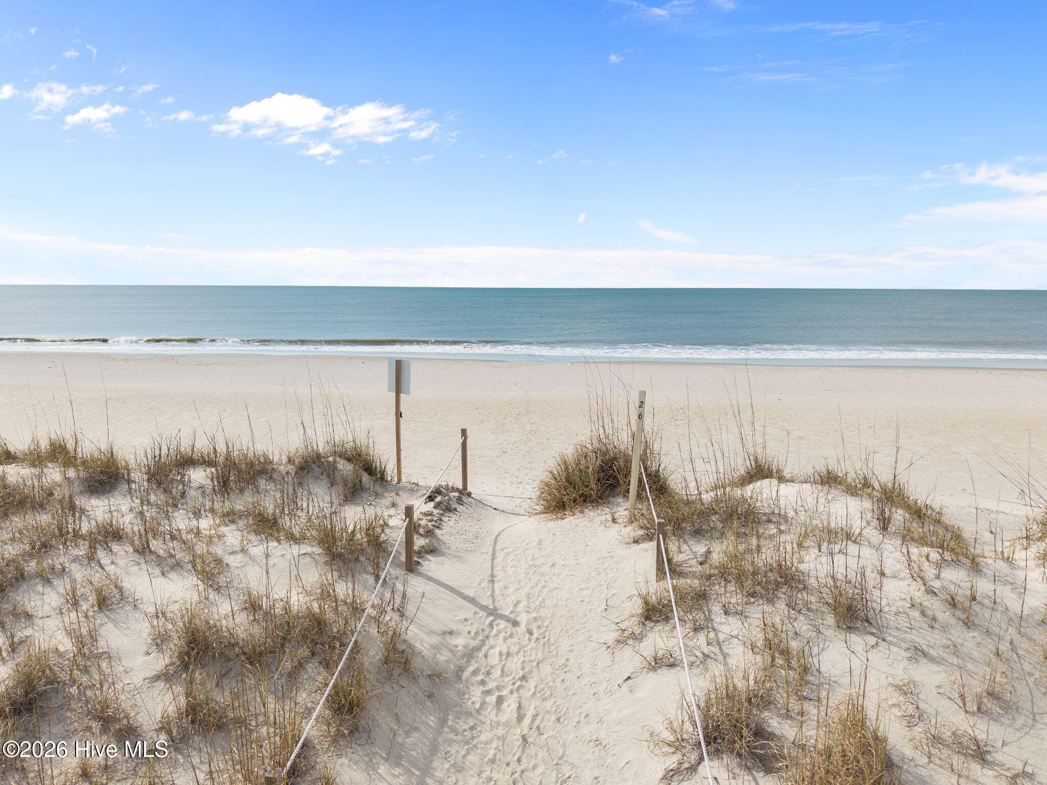 100561444 | Photo 15