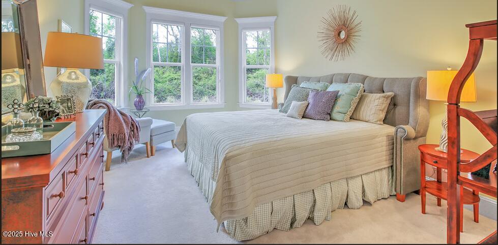 100554434 | Photo 28