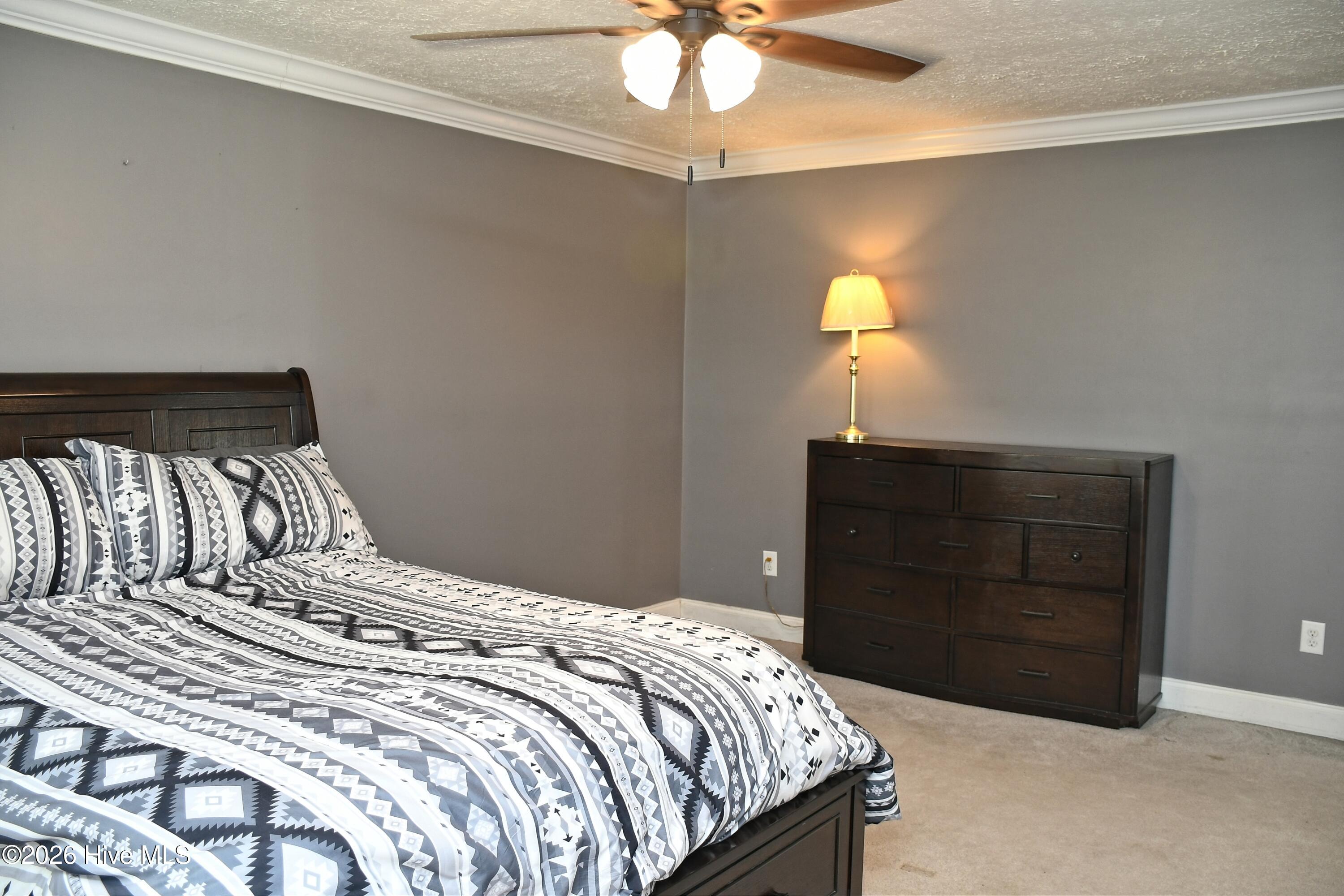 100565846 | Photo 25