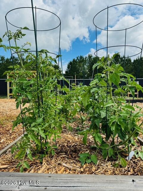 100555824 | Photo 34