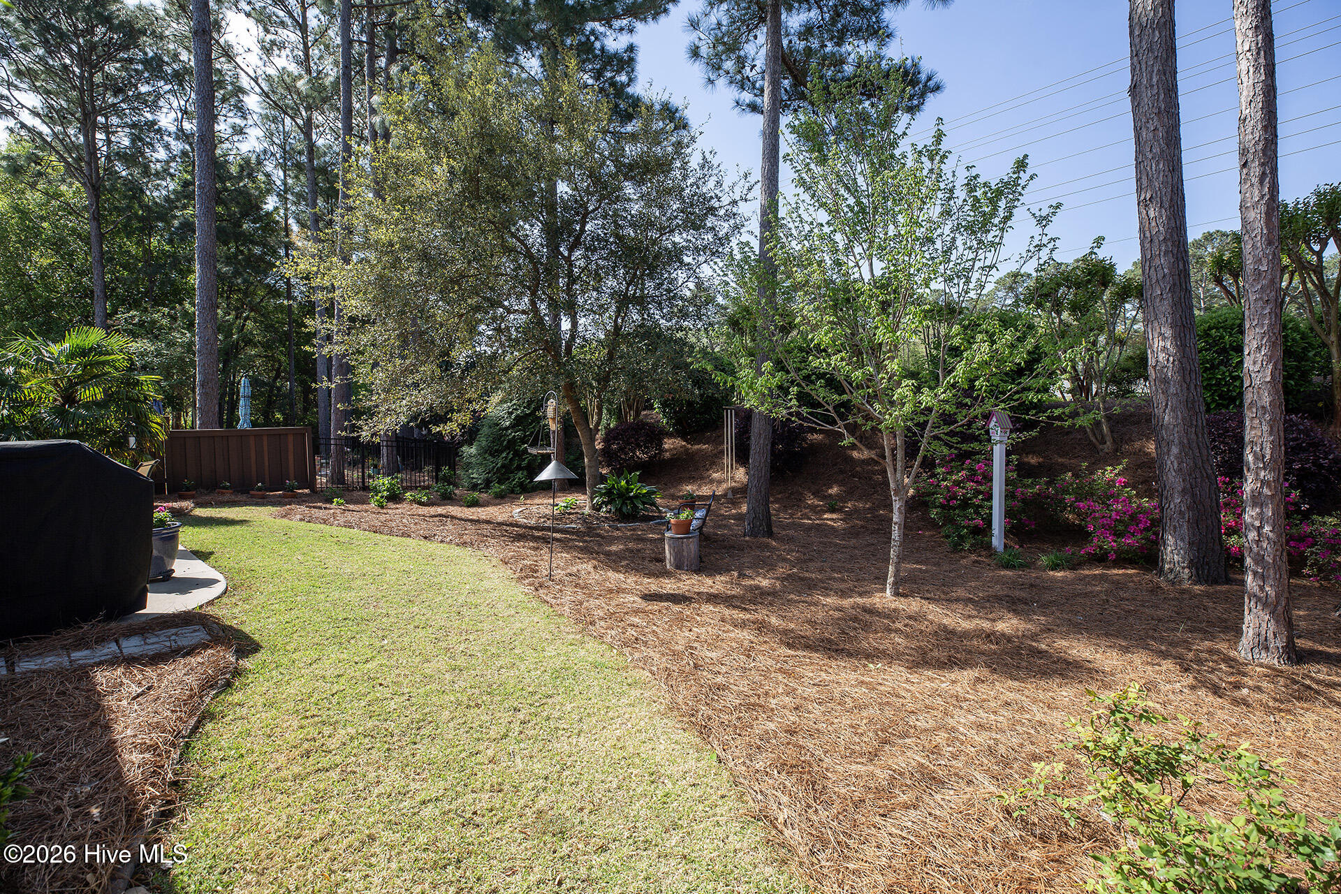 100567107 | Photo 40