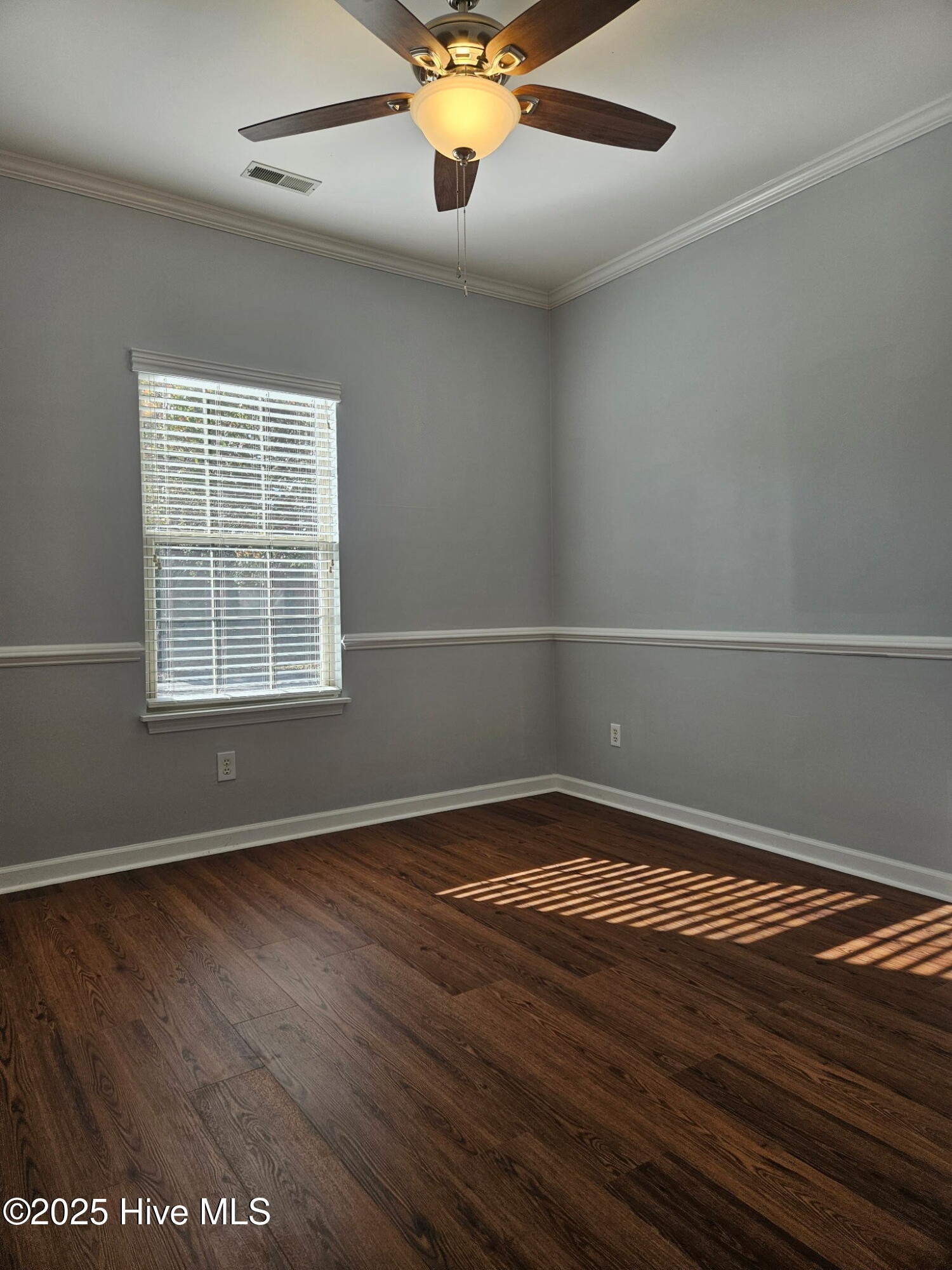 100532583 | Photo 23