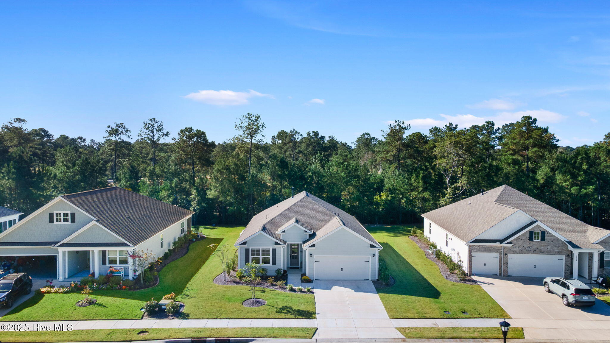 100534721 | Photo 33