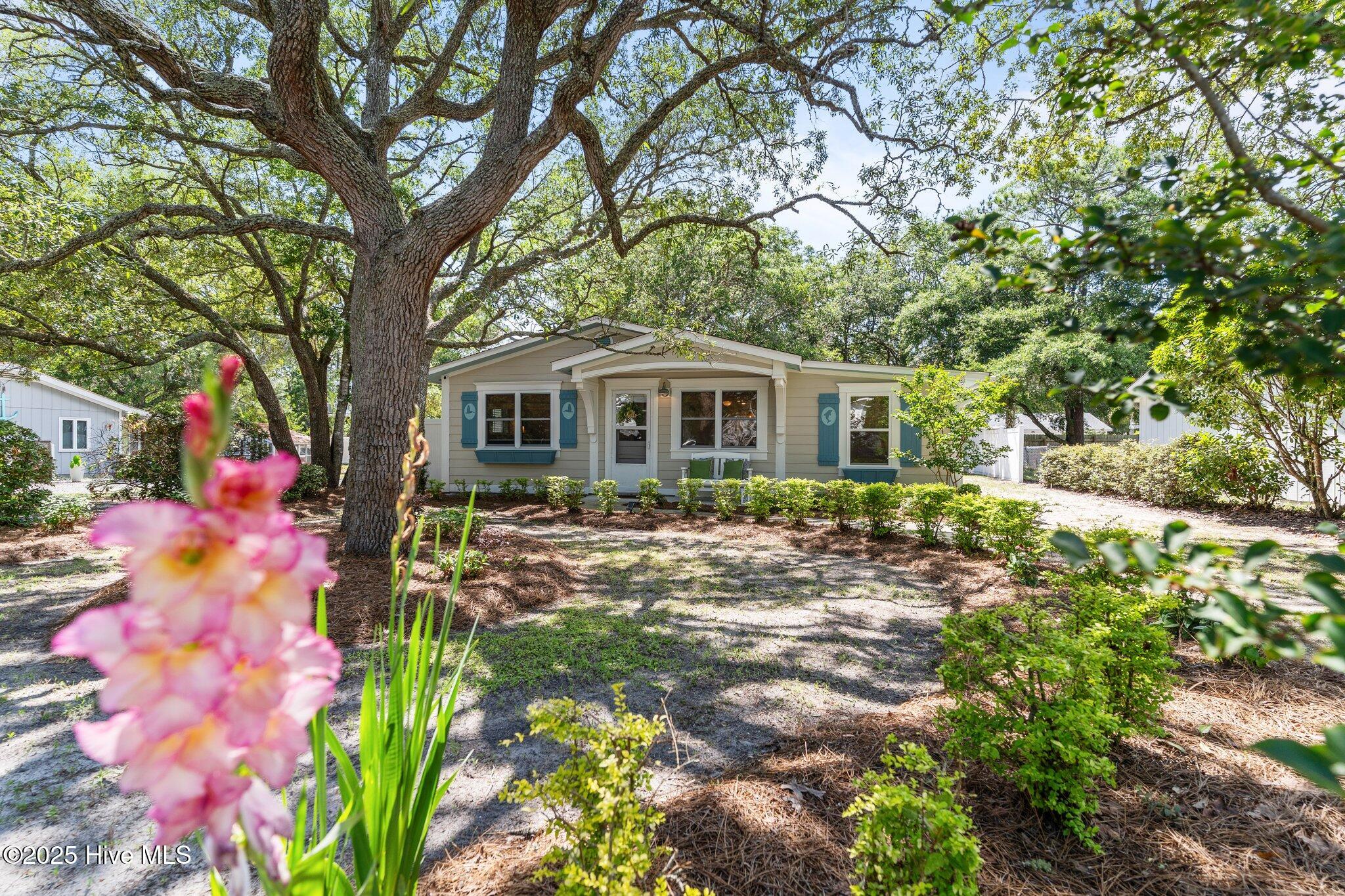 100514497 | Photo 16