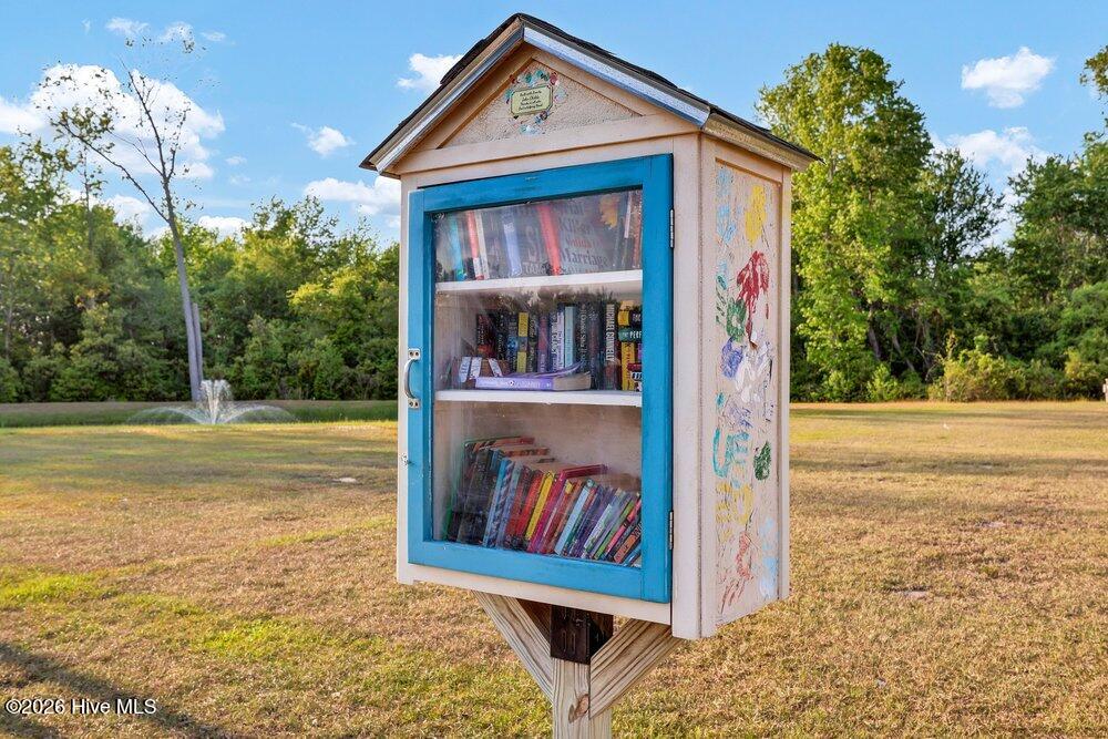 100568146 | Photo 43