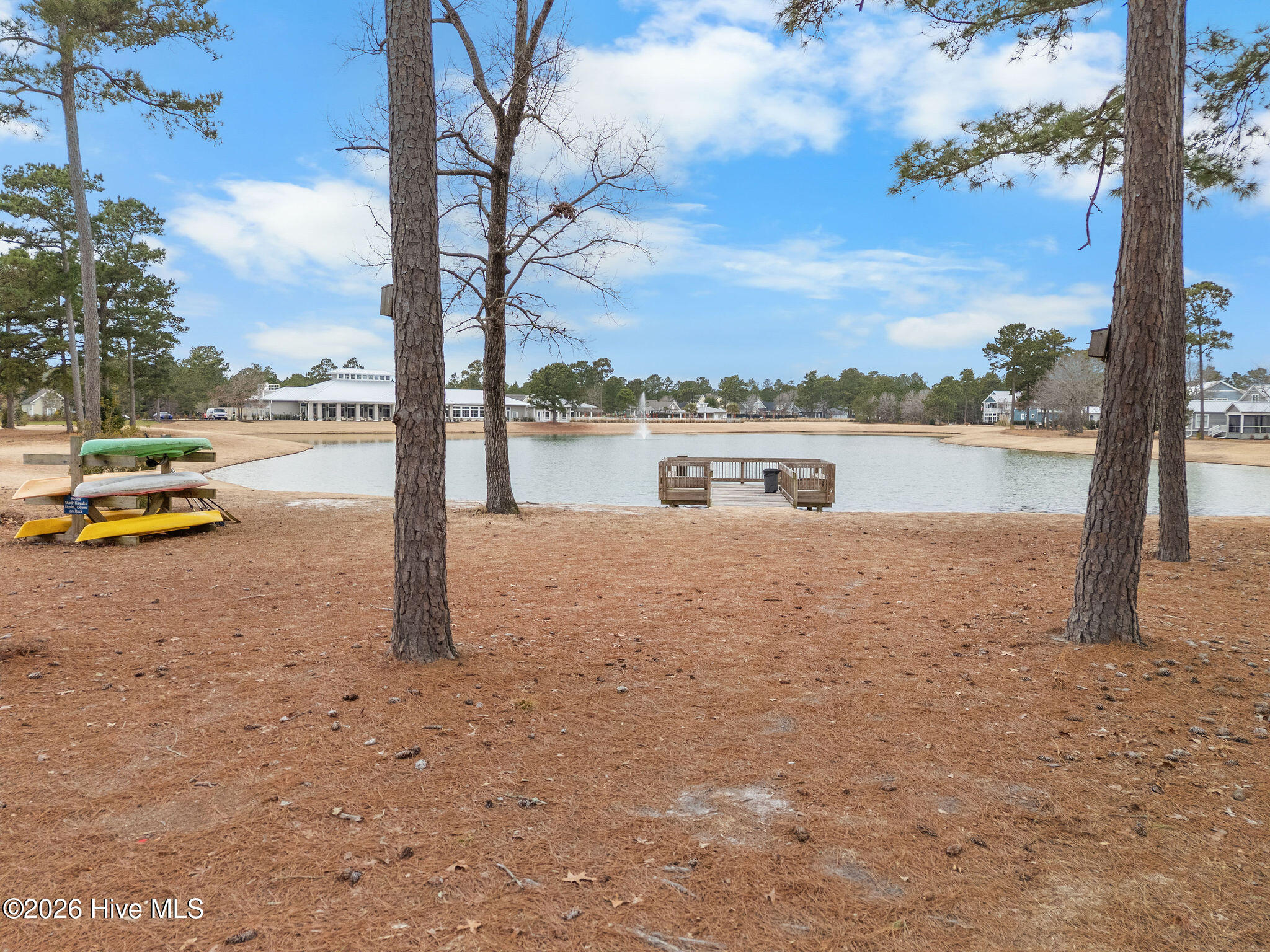 100554356 | Photo 68