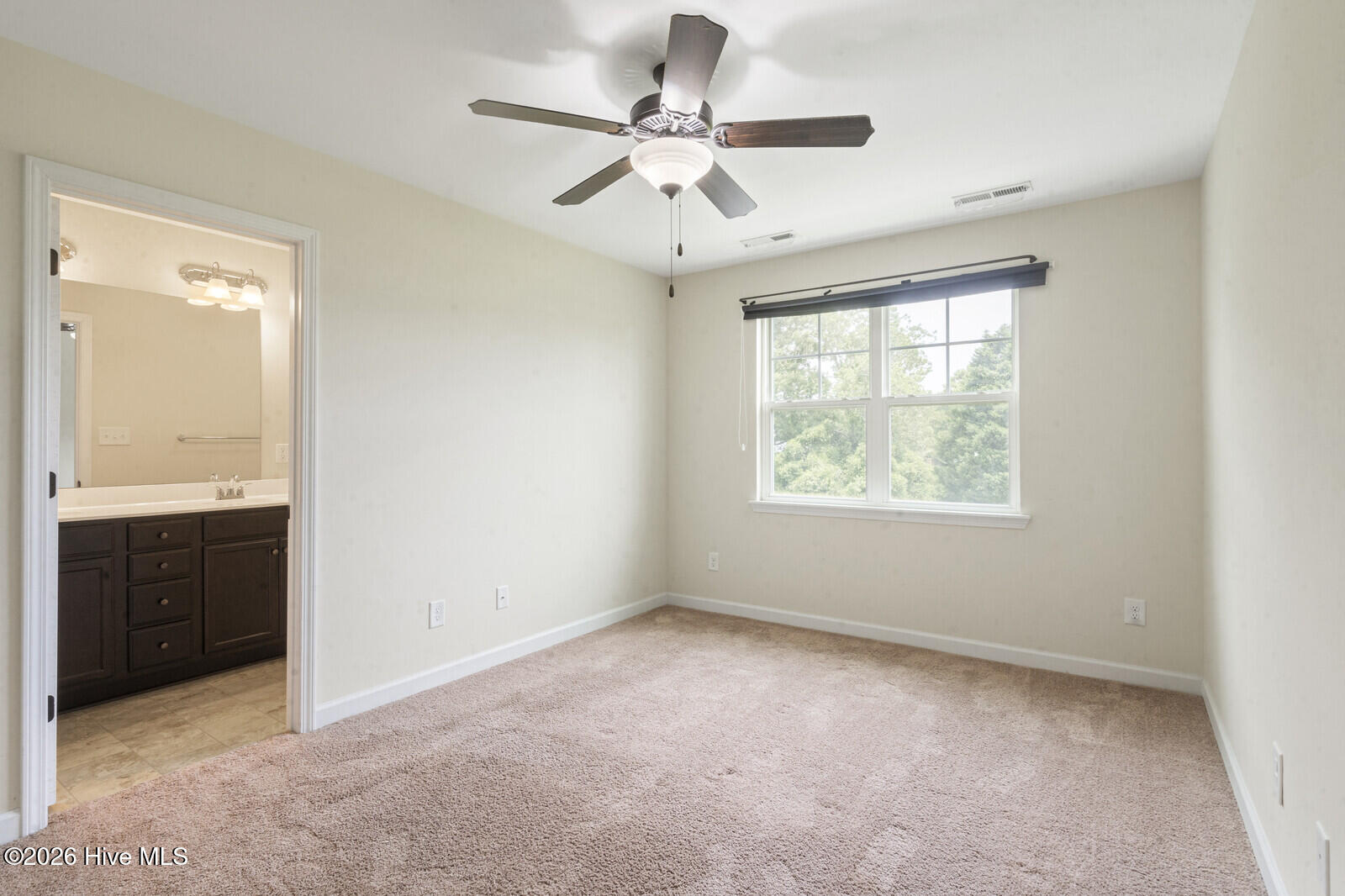 100562999 | Photo 17