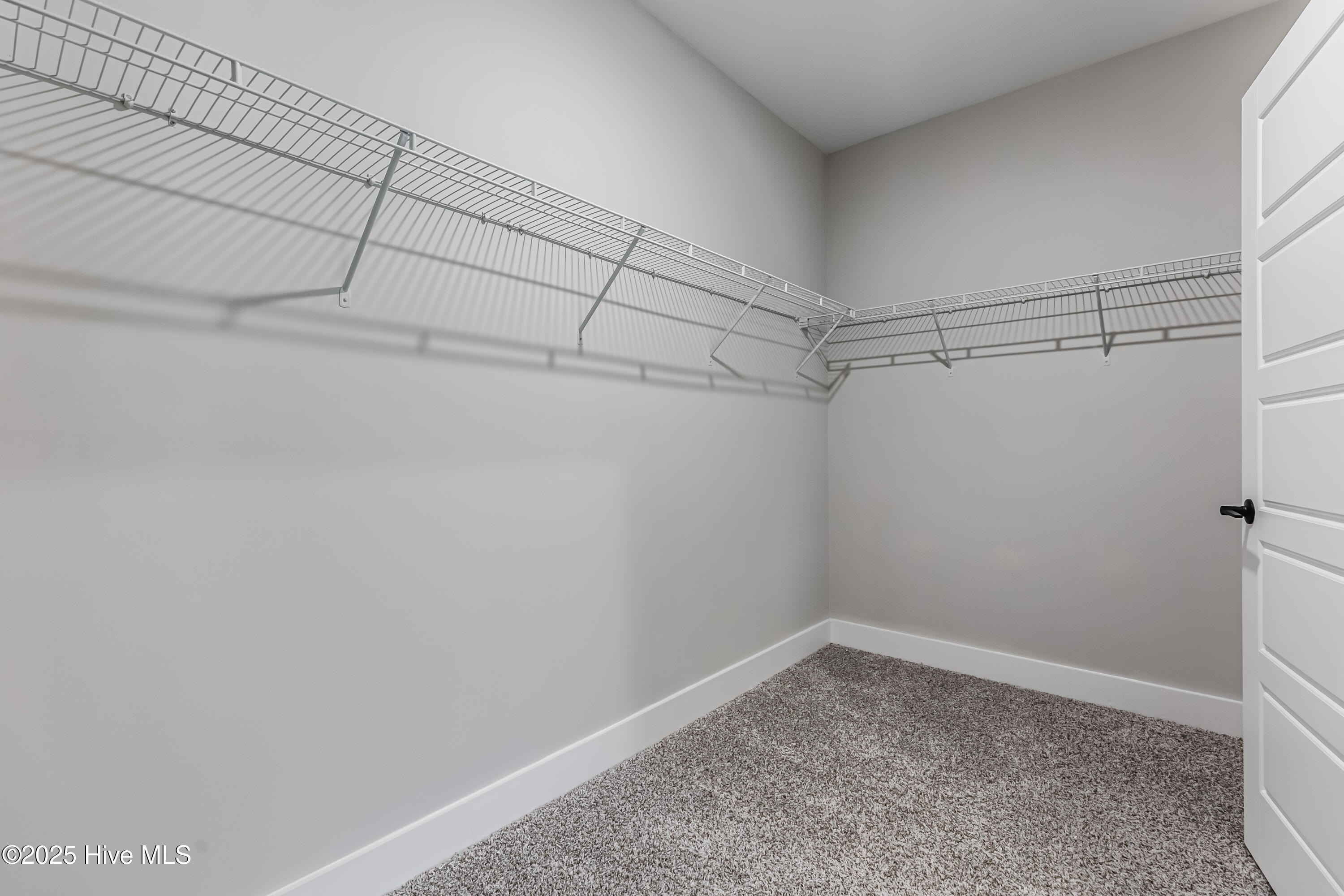 100529359 | Photo 20