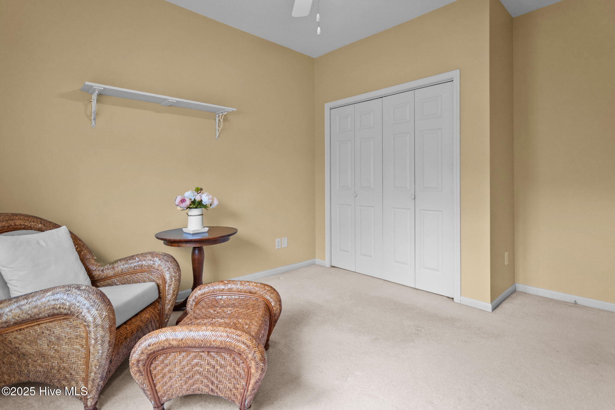 100528475 | Photo 30