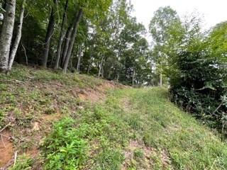 Homes for sale in Topton, NC | Lot 15 Summit View Dr, Topton, NC 28781 | MLS# 98525146