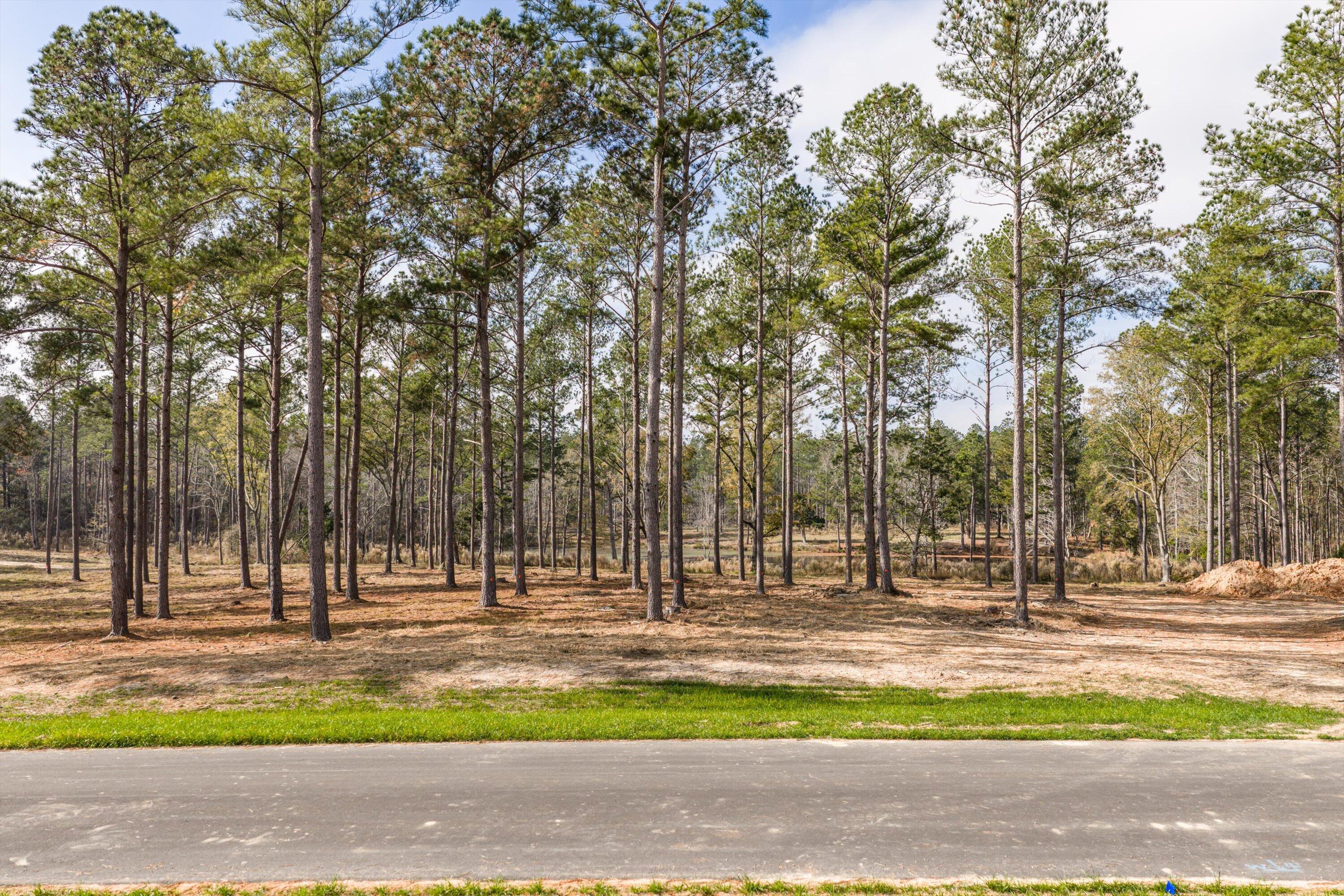 128 Beagle Chase Drive, Appling, GA, 30802