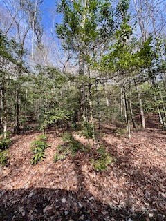 Photo 2 of Land for sale at Lot 2 Morris Crk Rd, Andrews, NC 28901 | MLS# 98500235 | Listing updated on 2026-09-04