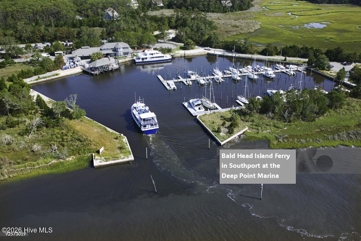 100554973 | Photo 14