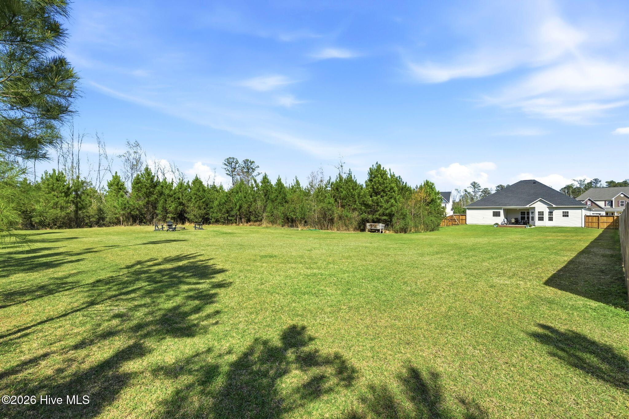 100563818 | Photo 46