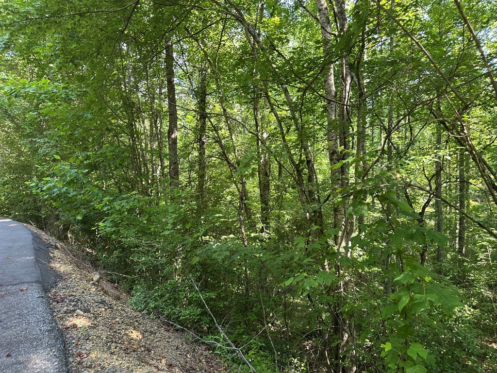 Exterior photo of 00 Choctaw Ridge Trail, Murphy, NC 28906. MLS: 98524856