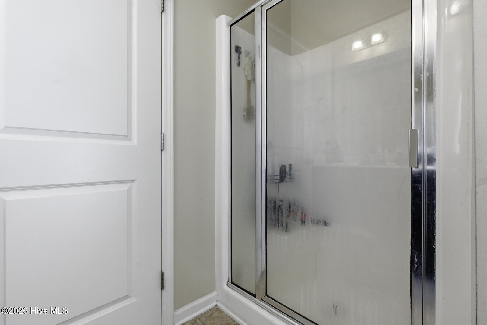 100561870 | Photo 19