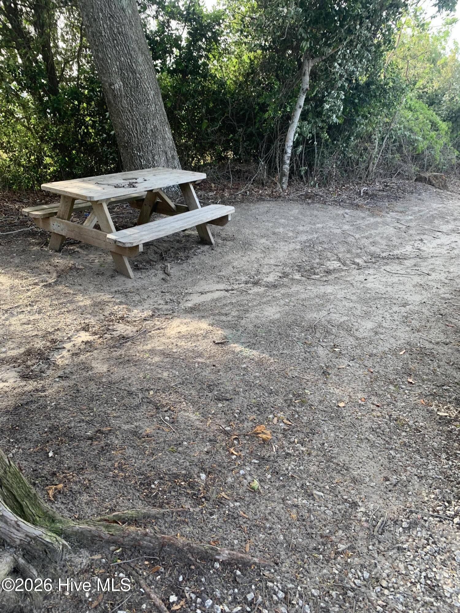 100565691 | Photo 82