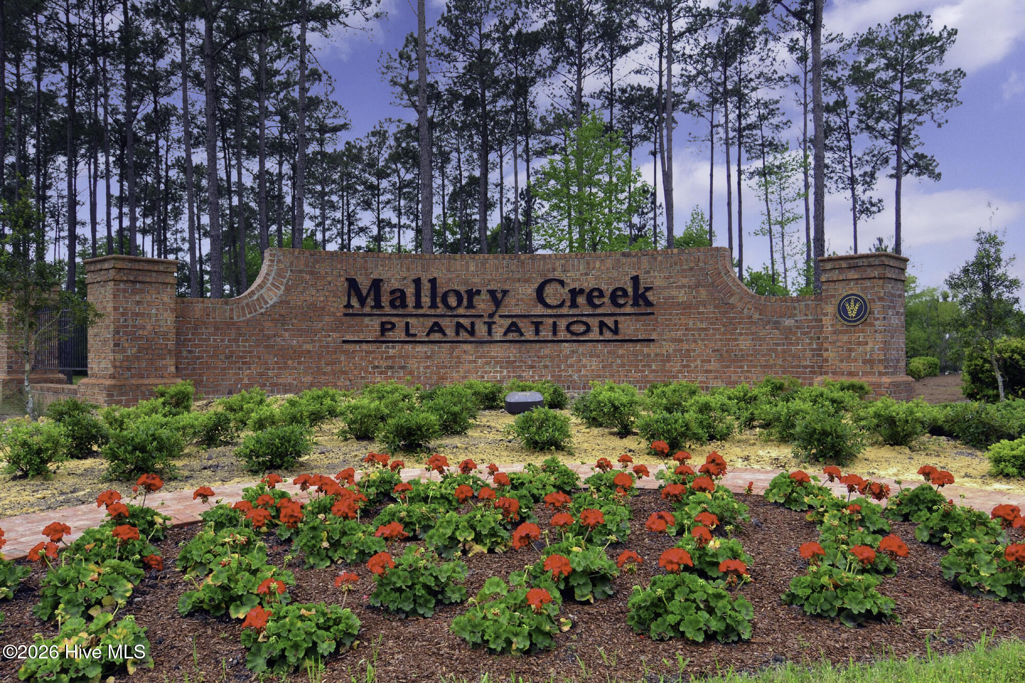 100557466 | Photo 52