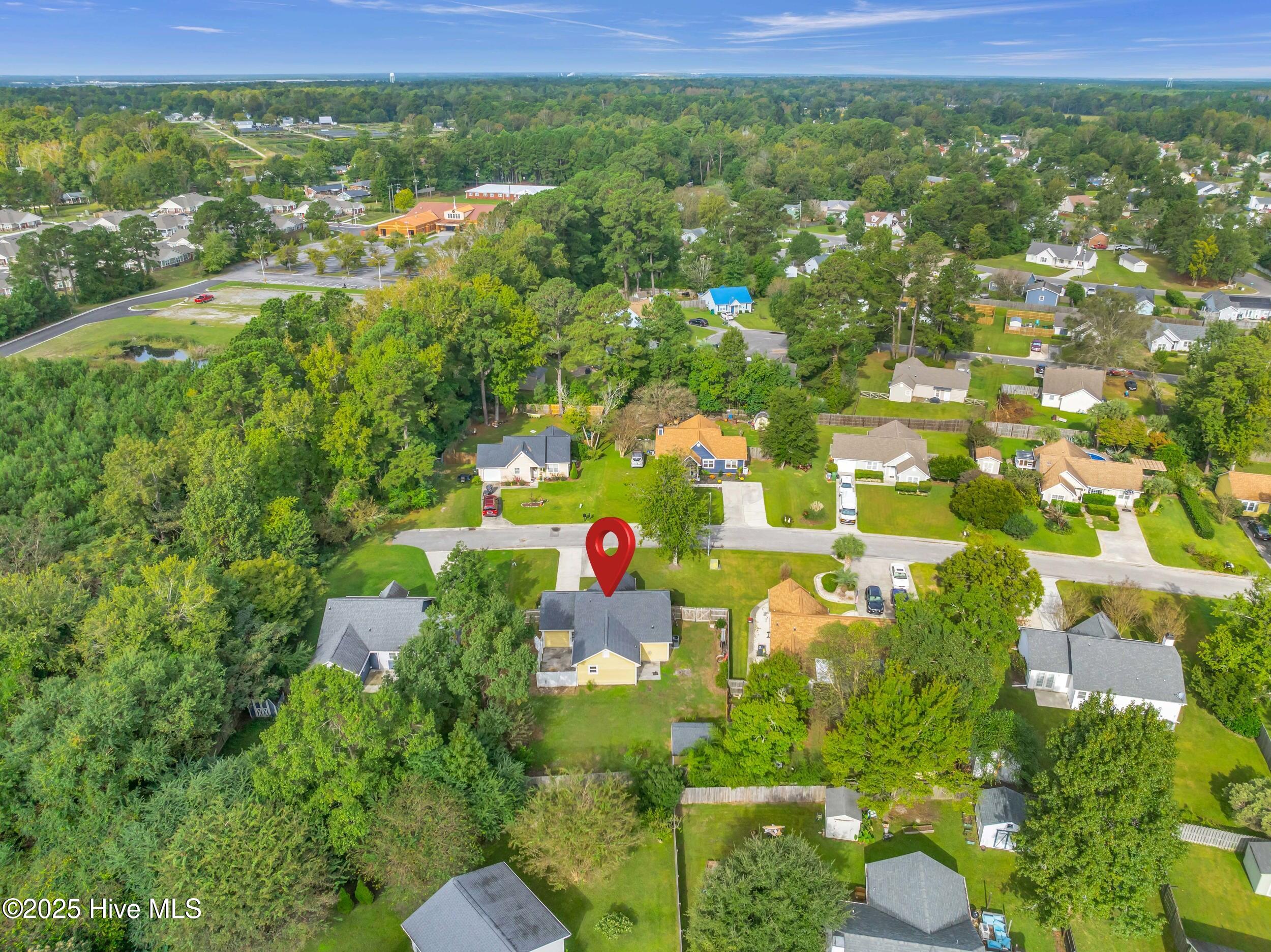 100535250 | Photo 35