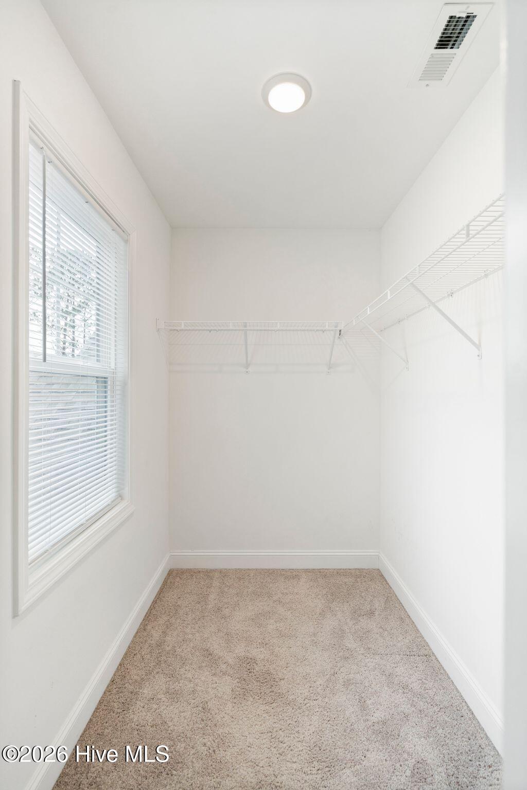 100557432 | Photo 25