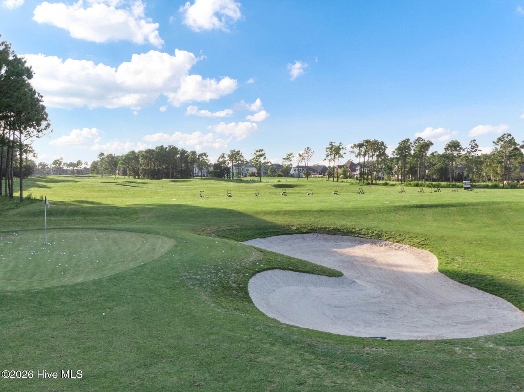 100558042 | Photo 97