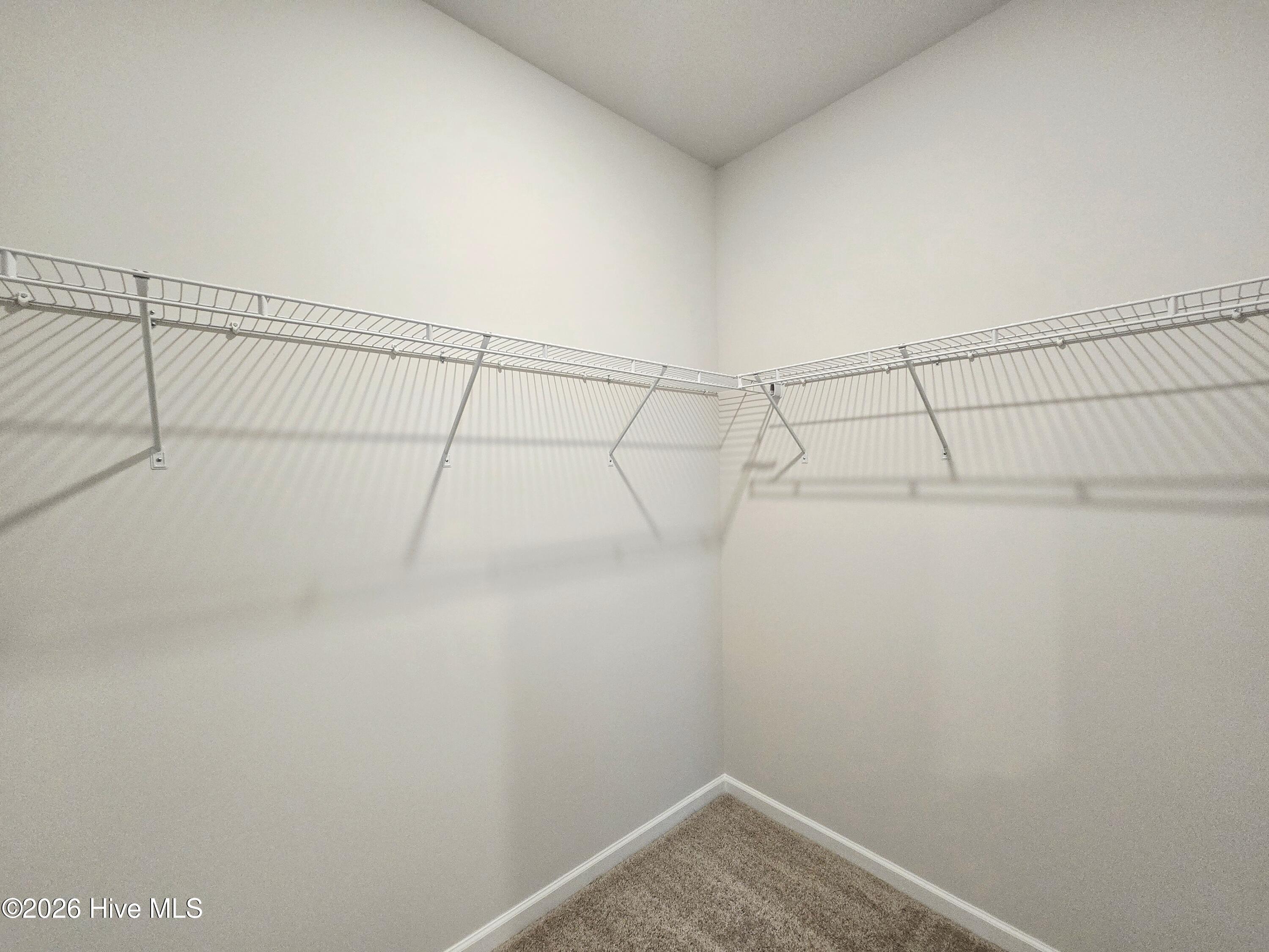 100556891 | Photo 15