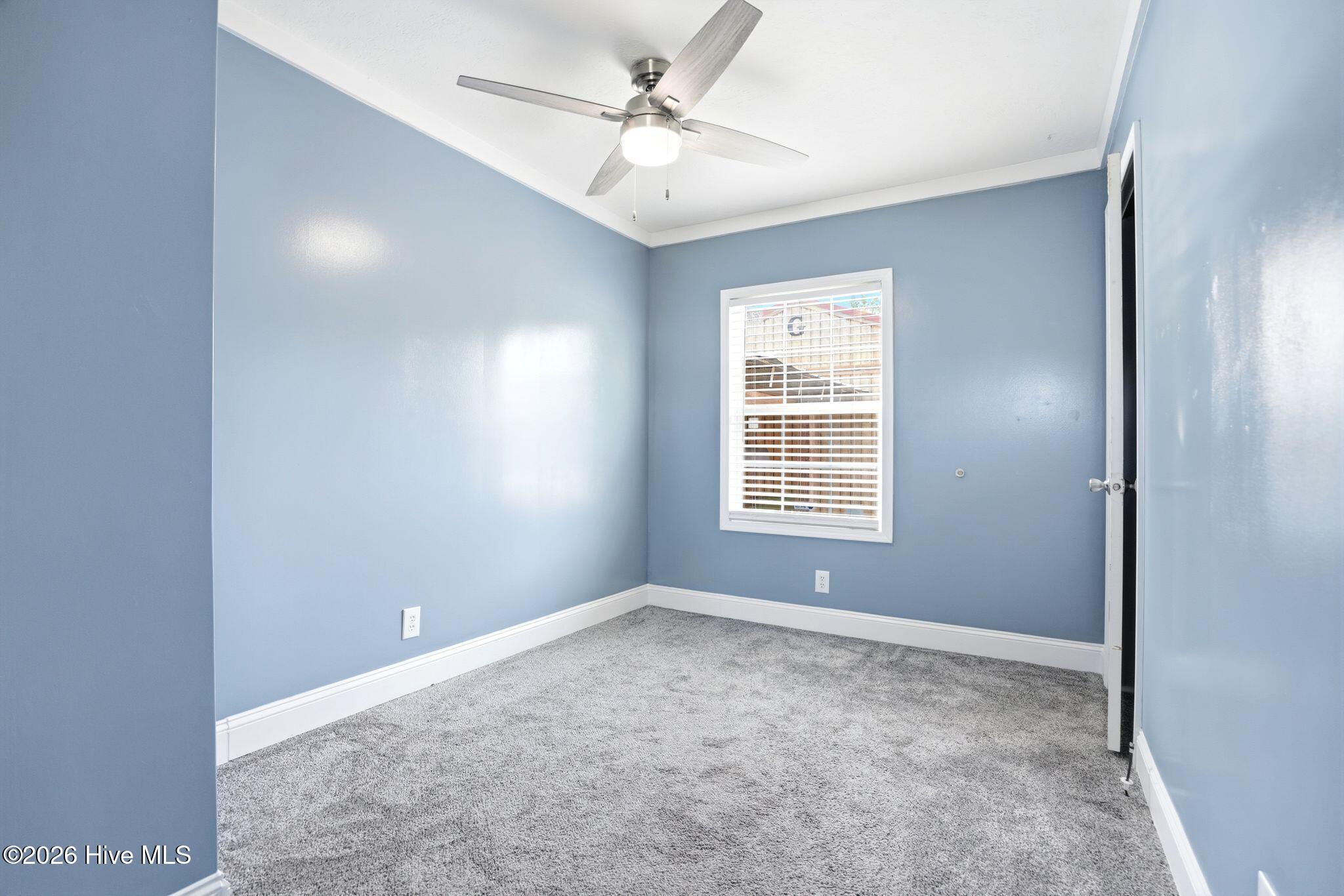 100570161 | Photo 20