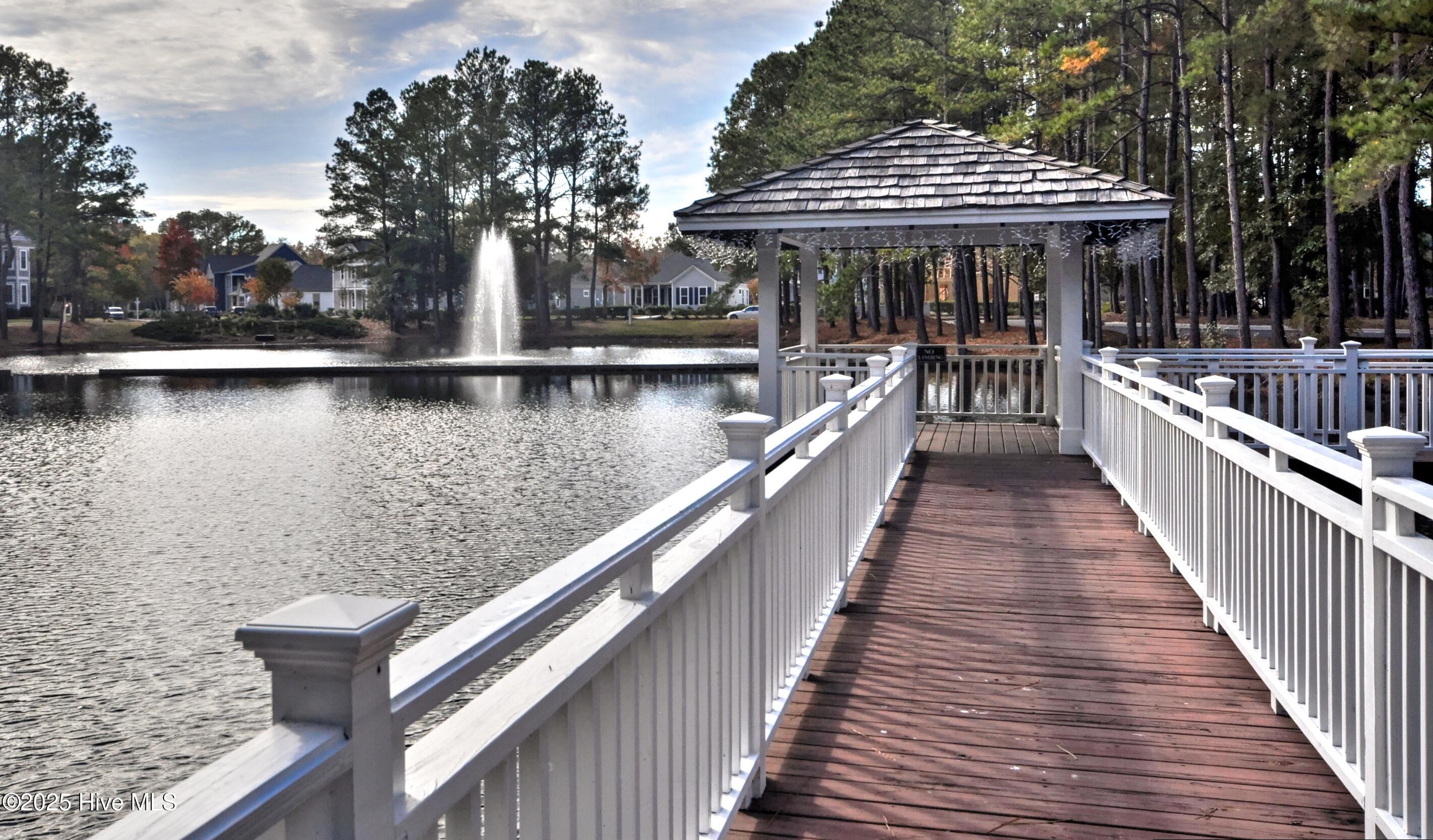 100535585 | Photo 68