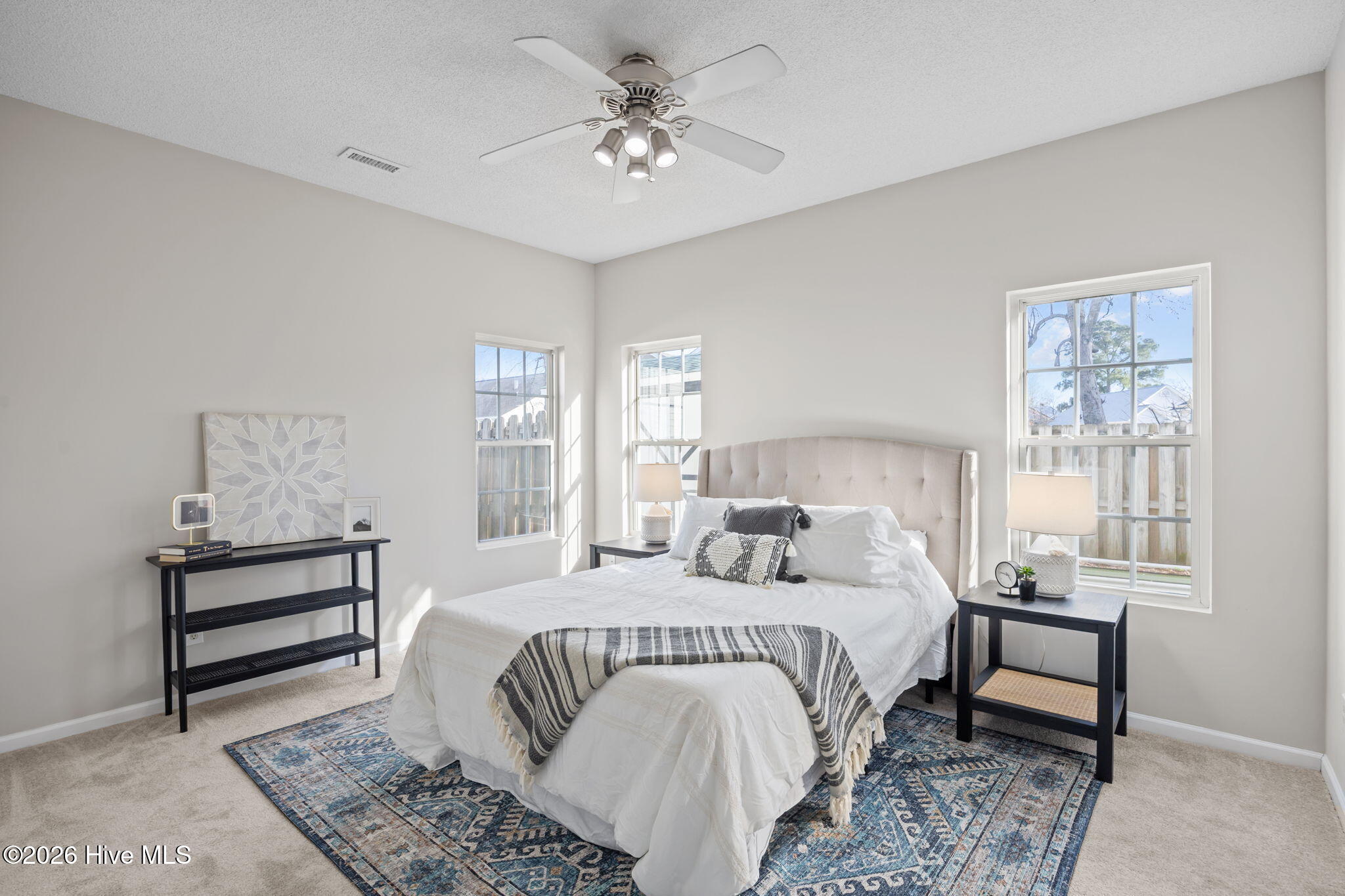 100557931 | Photo 11