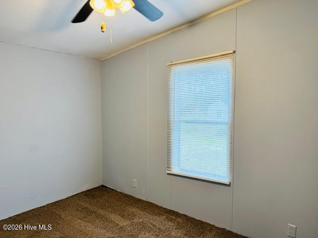 100547185 | Photo 26