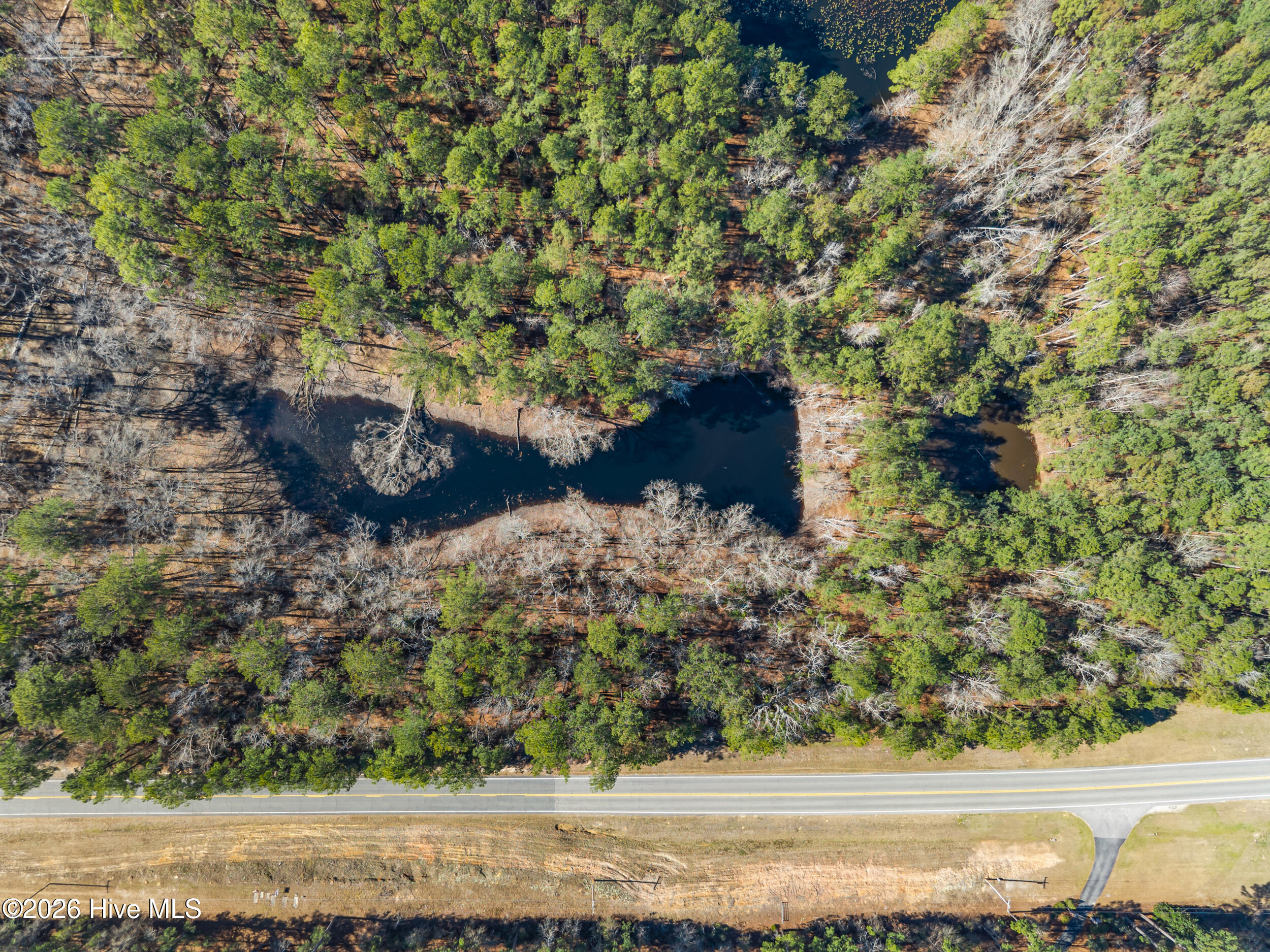 Photo 4 of Land for sale at 22701 Highway 129, Cobbtown, GA 30420 | MLS# 100603679 | Listing updated on 2026-09-15