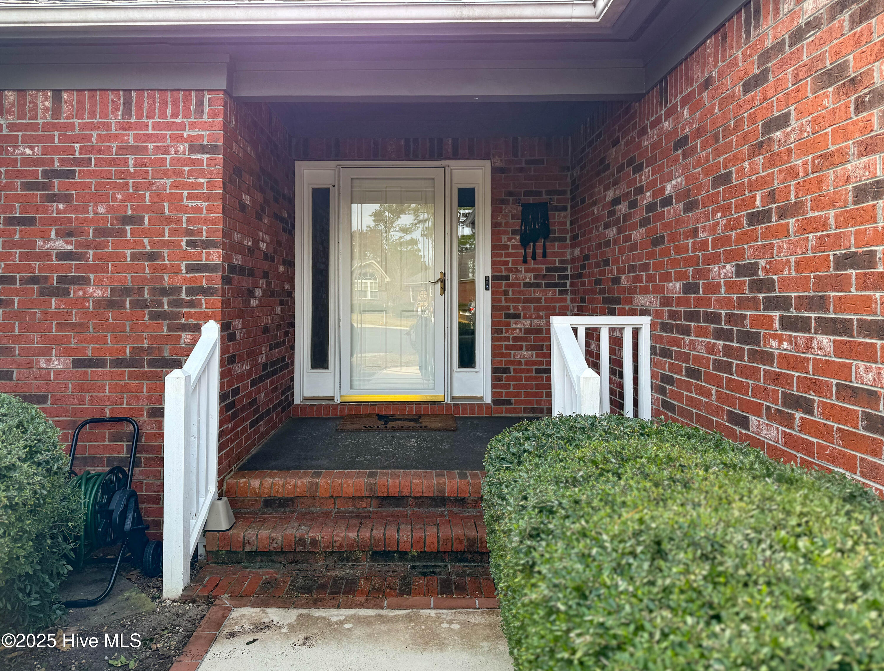 100542356 | Photo 11