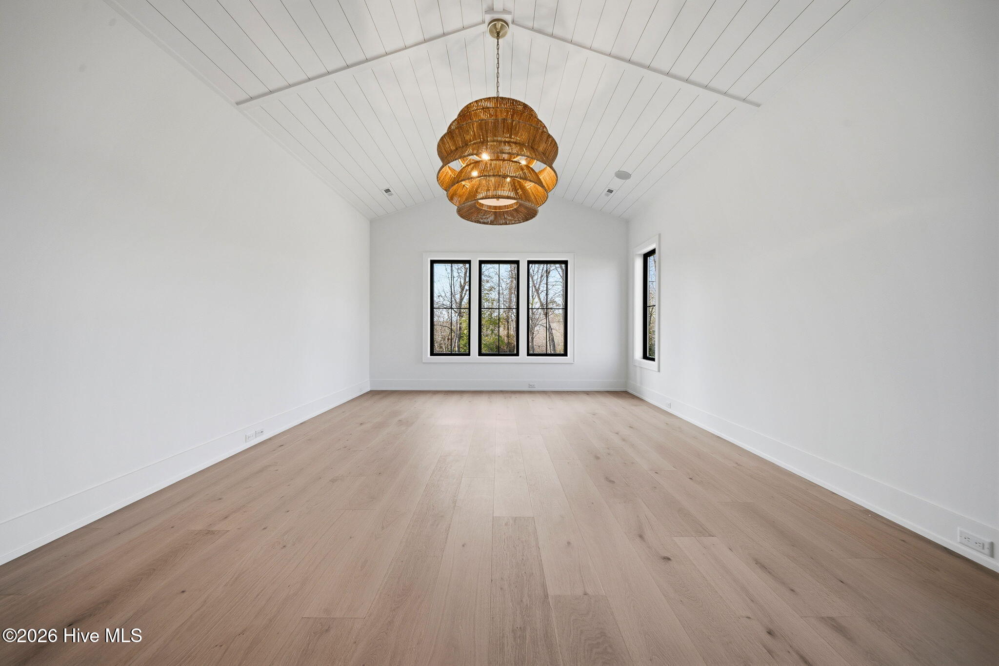 100500065 | Photo 33