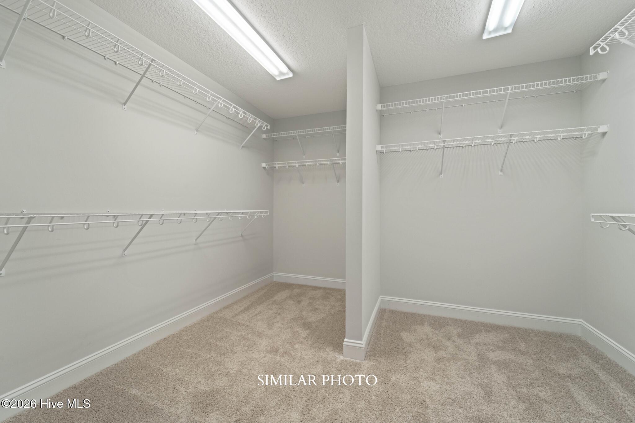 204 Windsor Run Boulevard, Jacksonville, NC, 28546