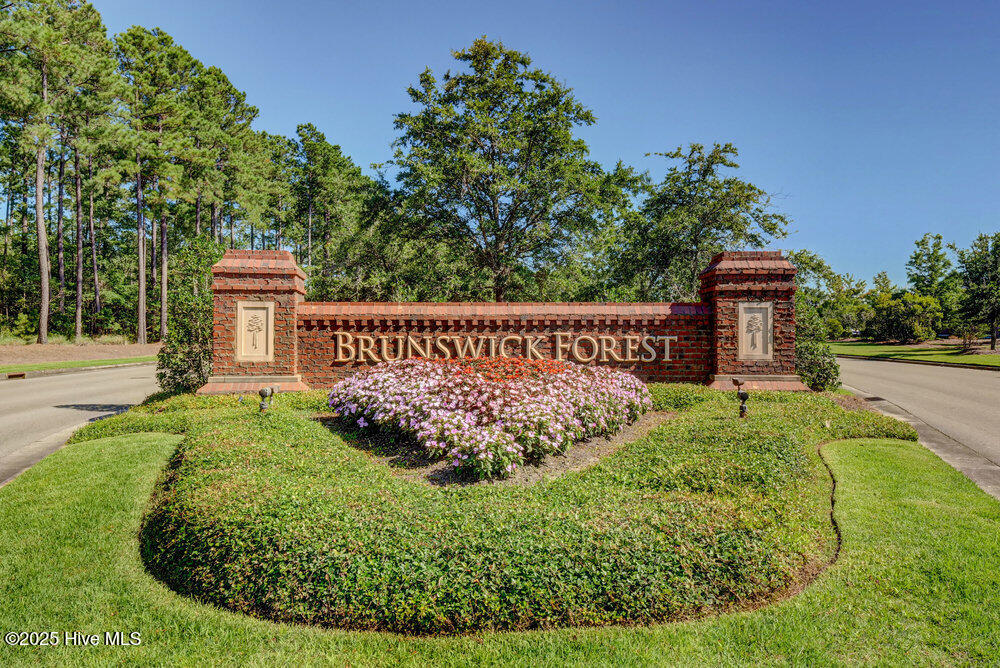 100539818 | Photo 43