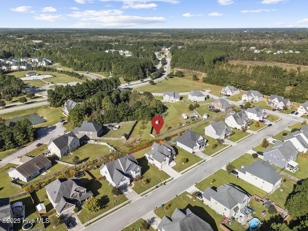 100536602 | Photo 47