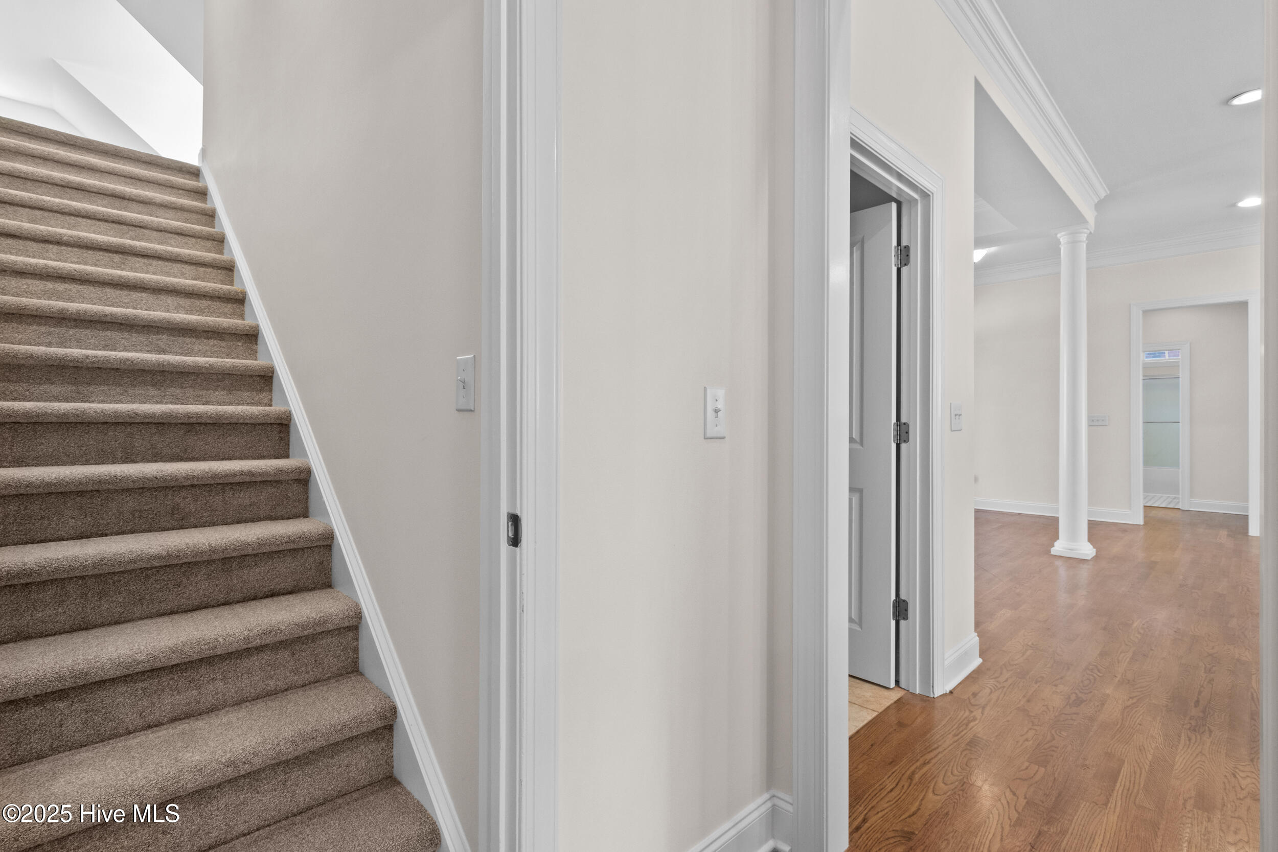 100541482 | Photo 27