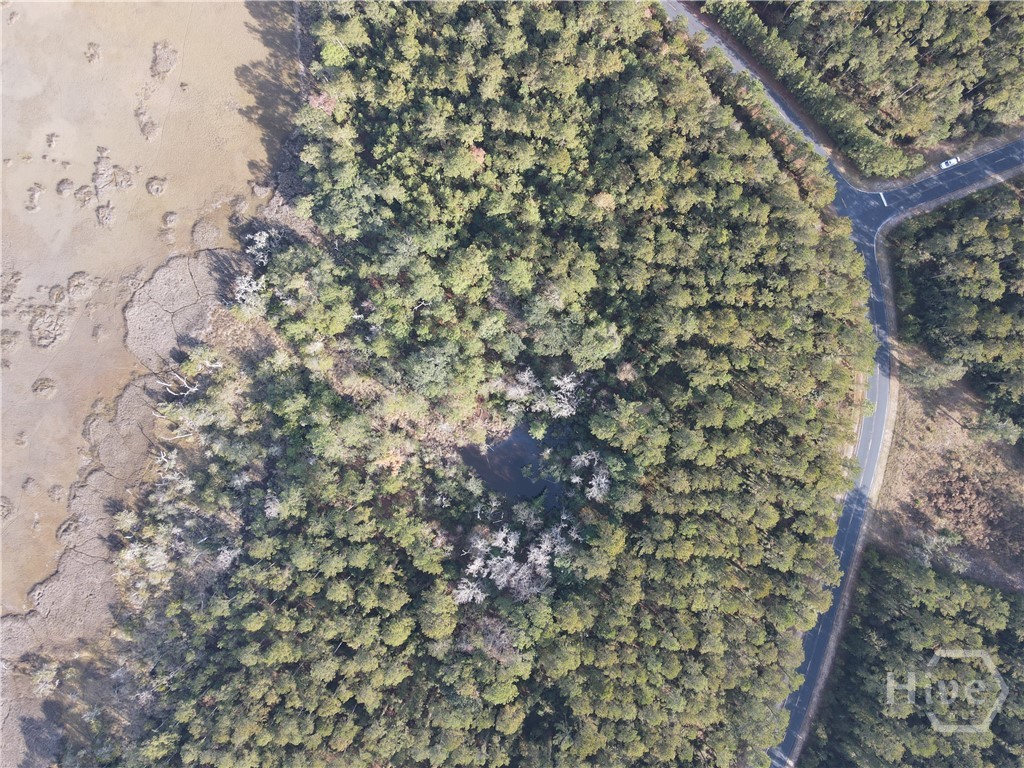 Homes for sale in Townsend, GA | Lot 45 Ne Marsh Way W, Townsend, GA 31331 | MLS# SA344639