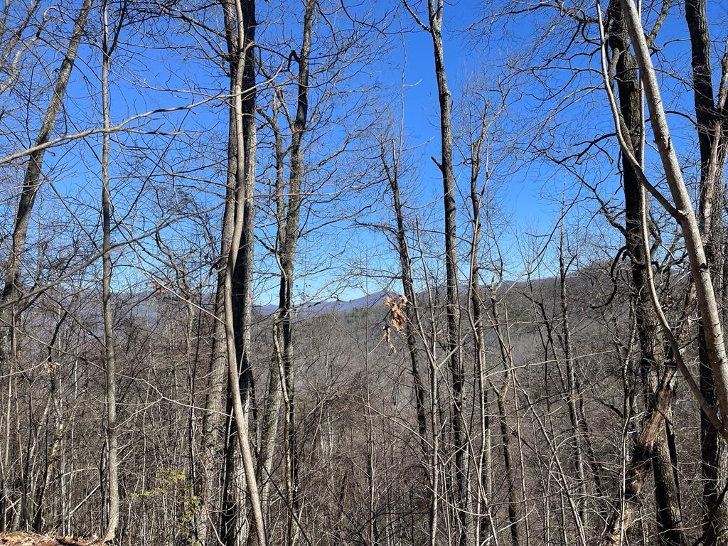 Listing Photo 98500940