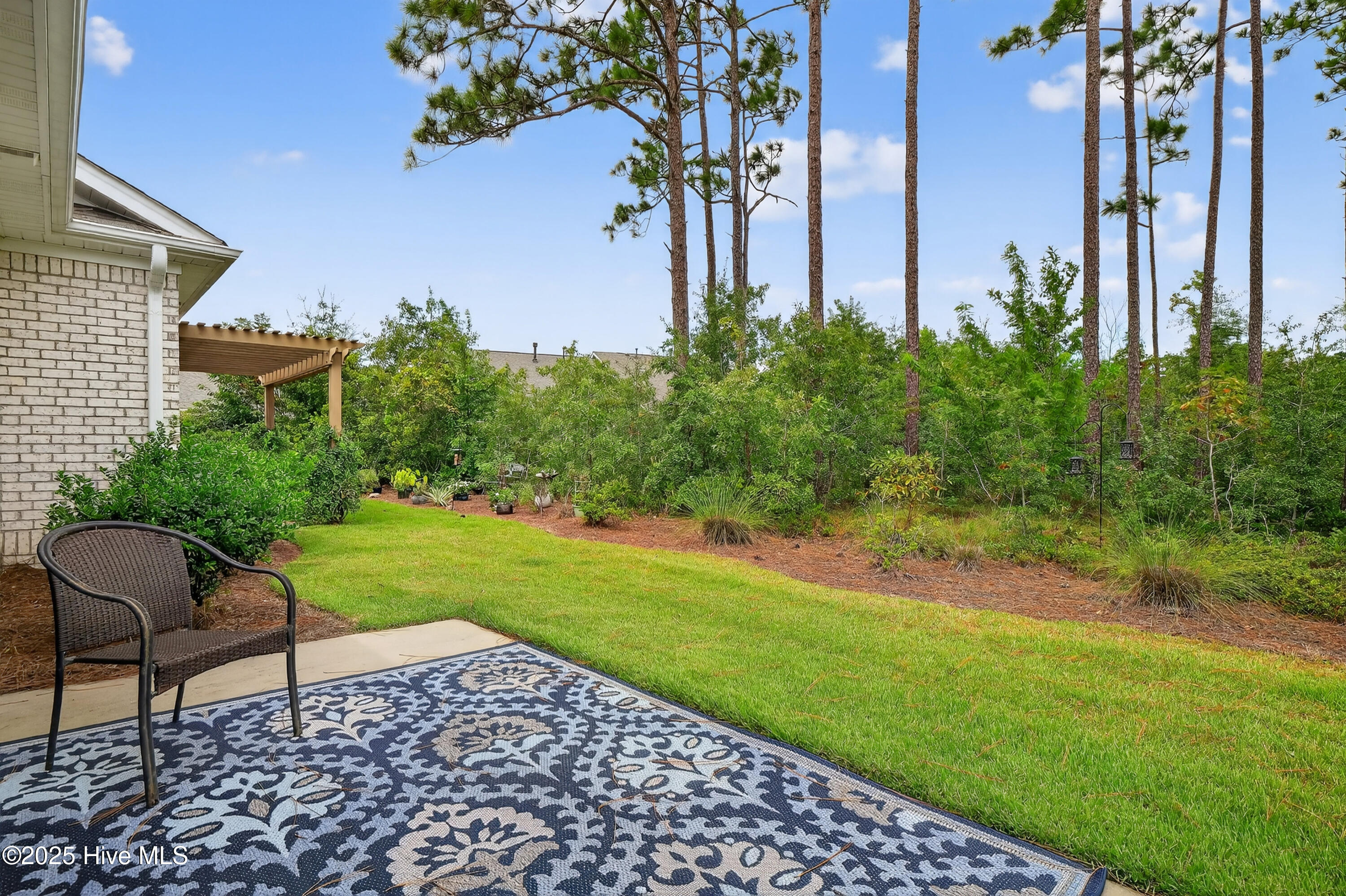 100529241 | Photo 23