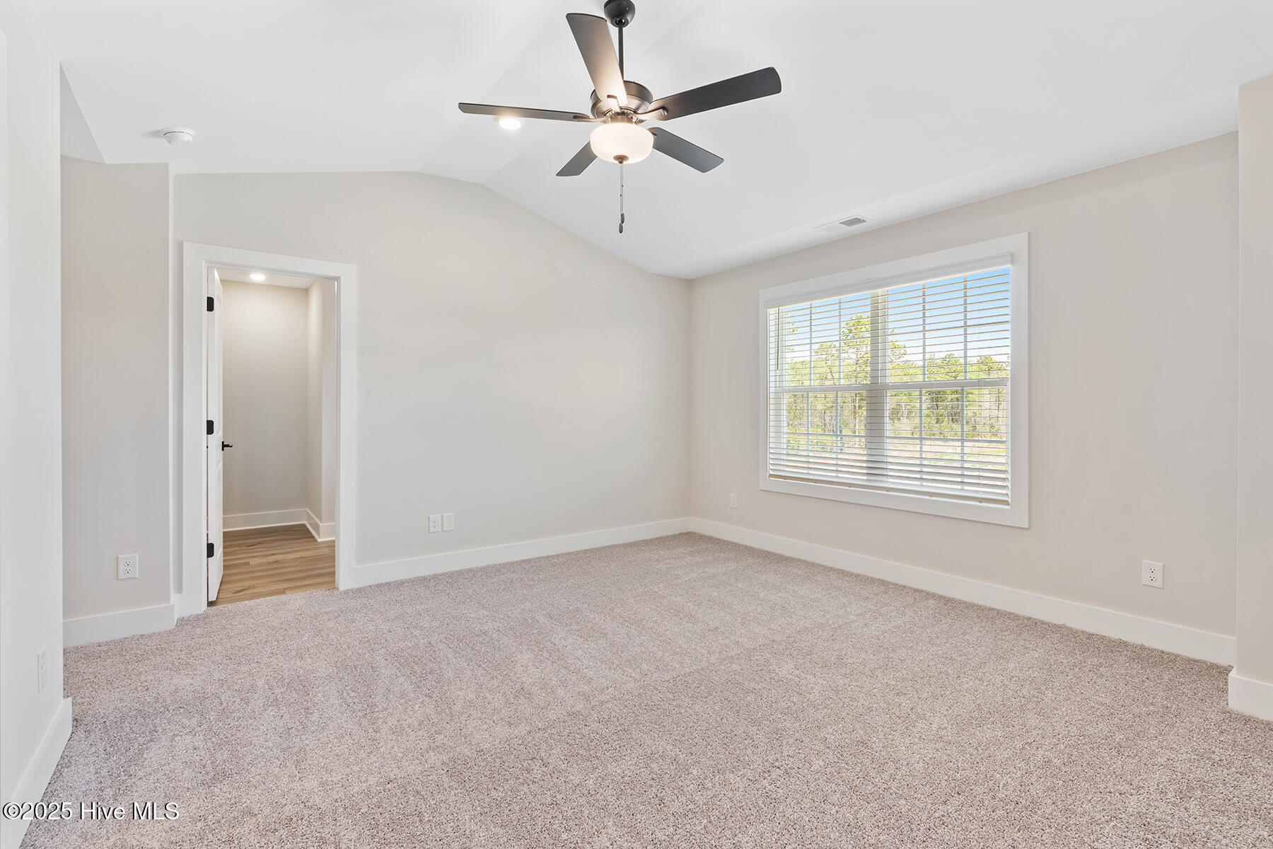 100546623 | Photo 13