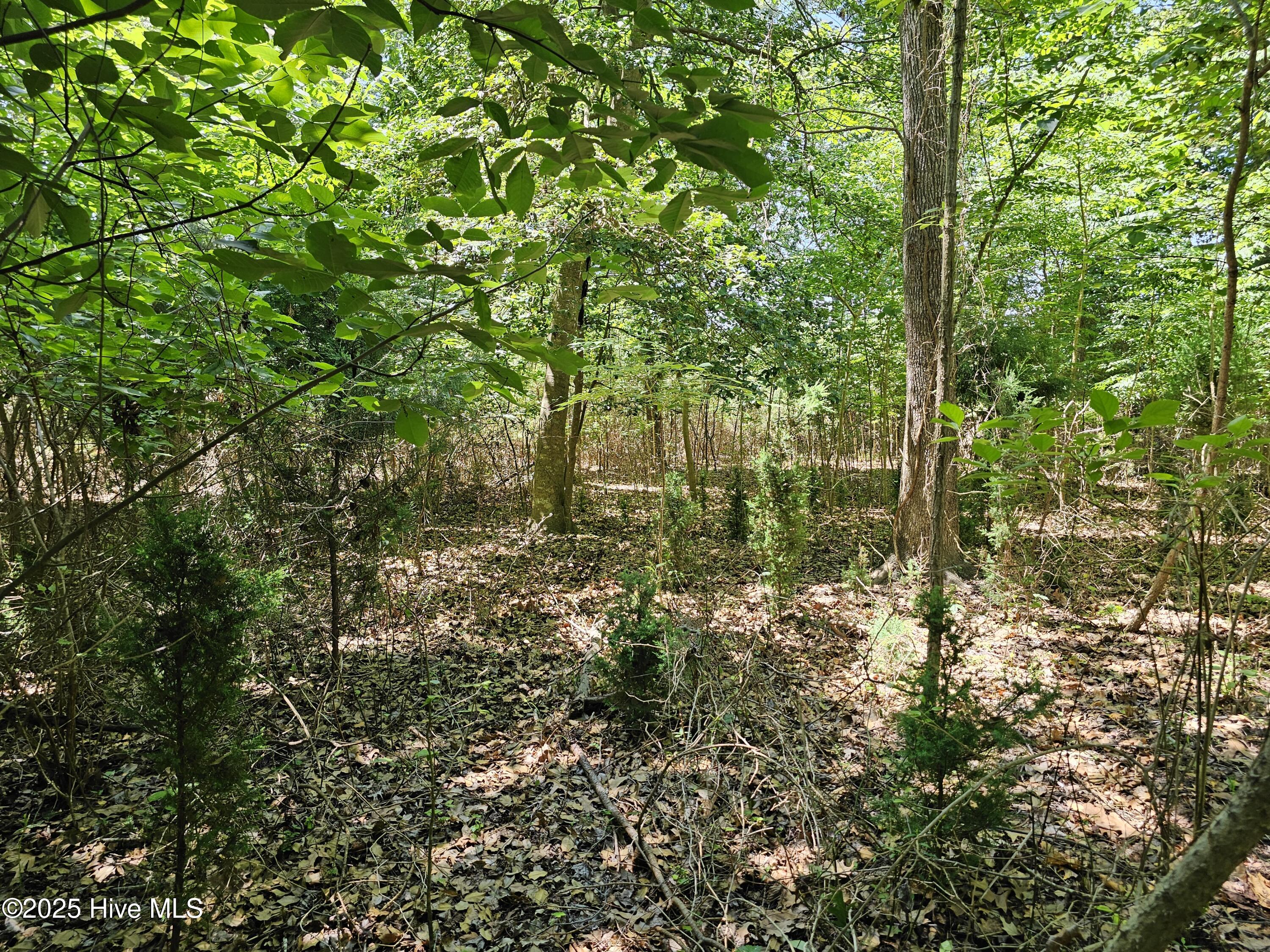 9, 10, 11 Peninsula Shores Way, Hertford, NC, 27944