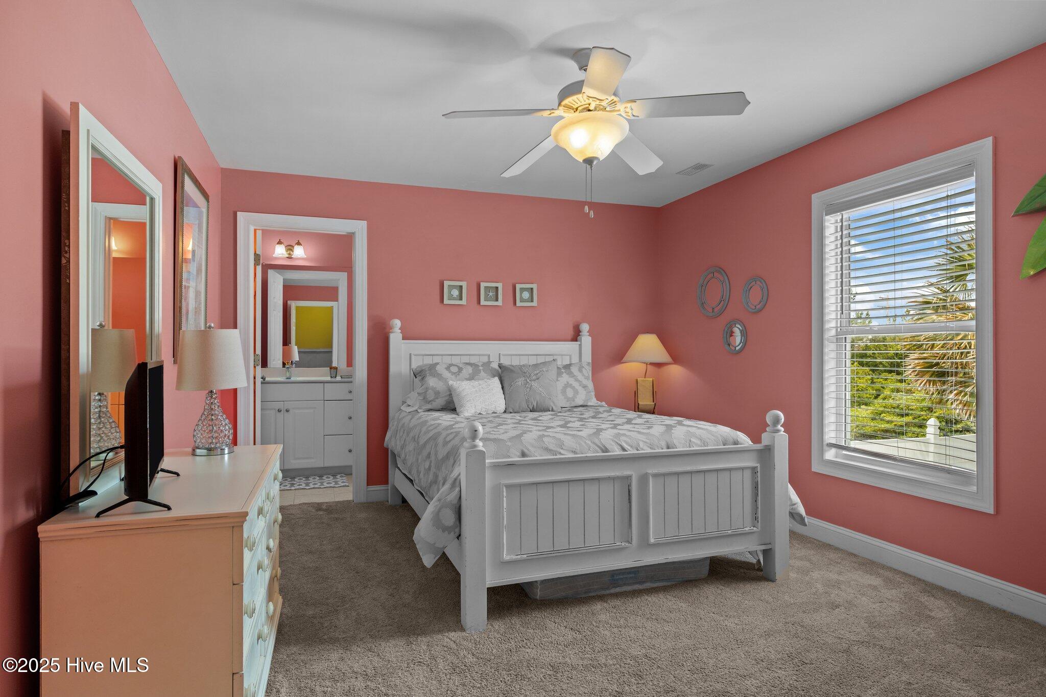 100509576 | Photo 23