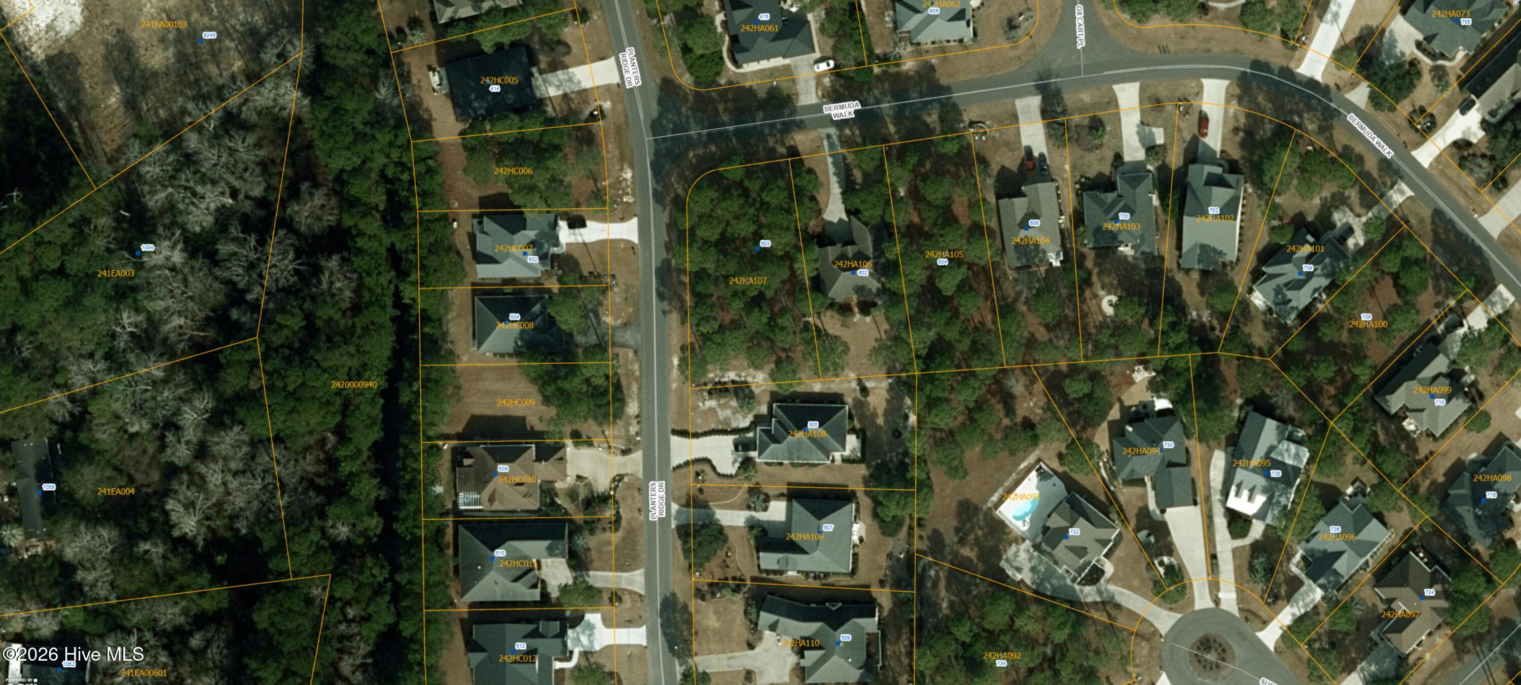 100559665 | Photo 40