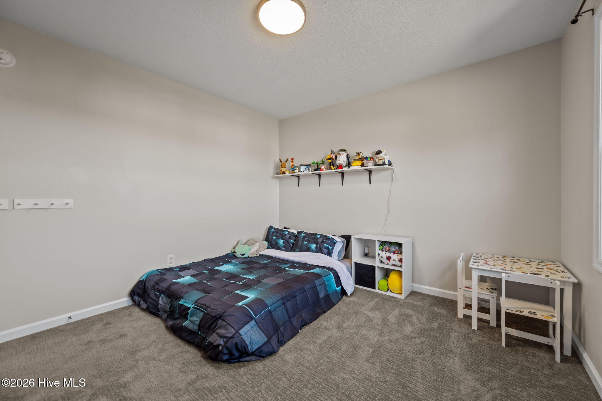 100561197 | Photo 41