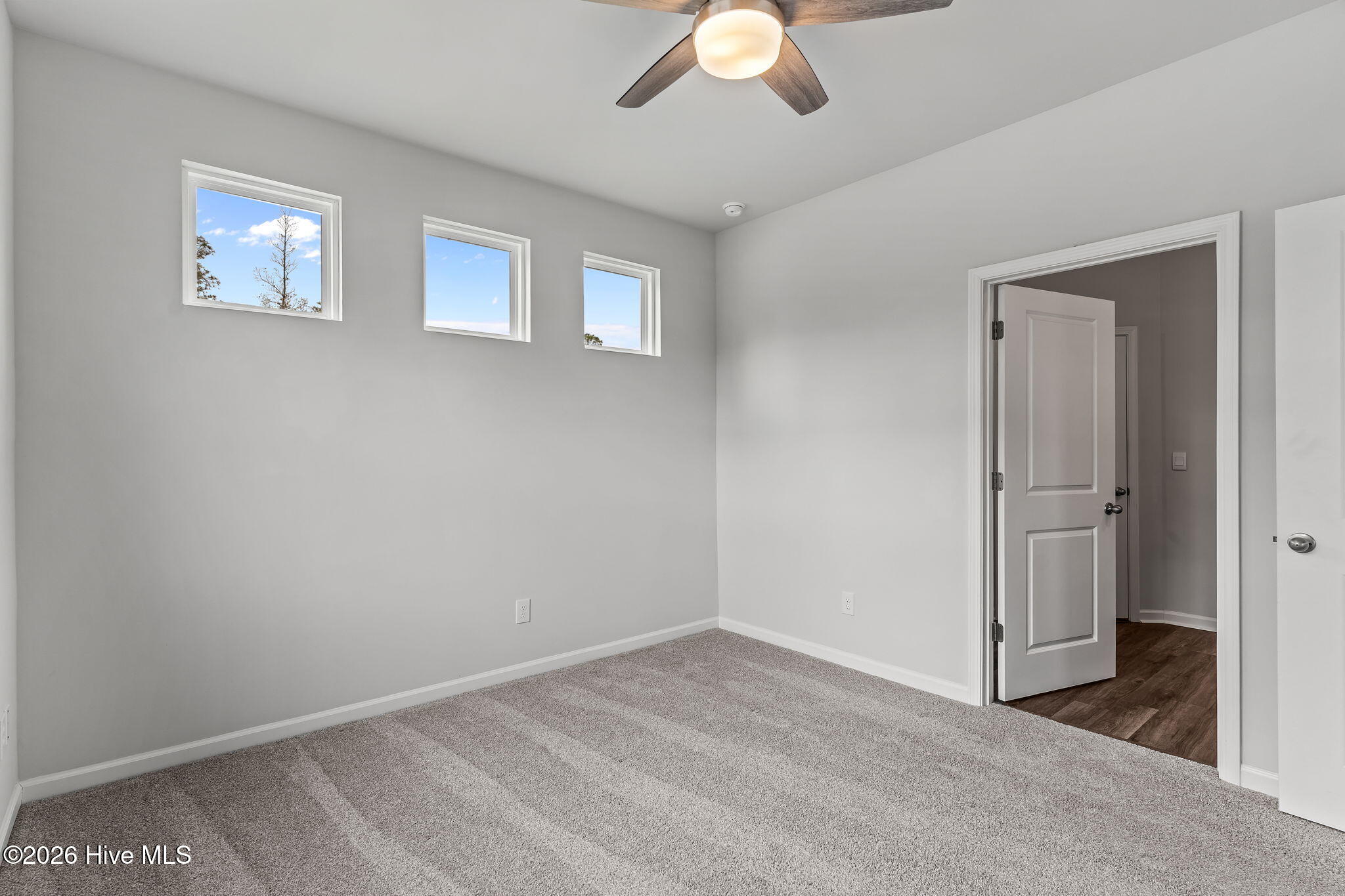 100563227 | Photo 15