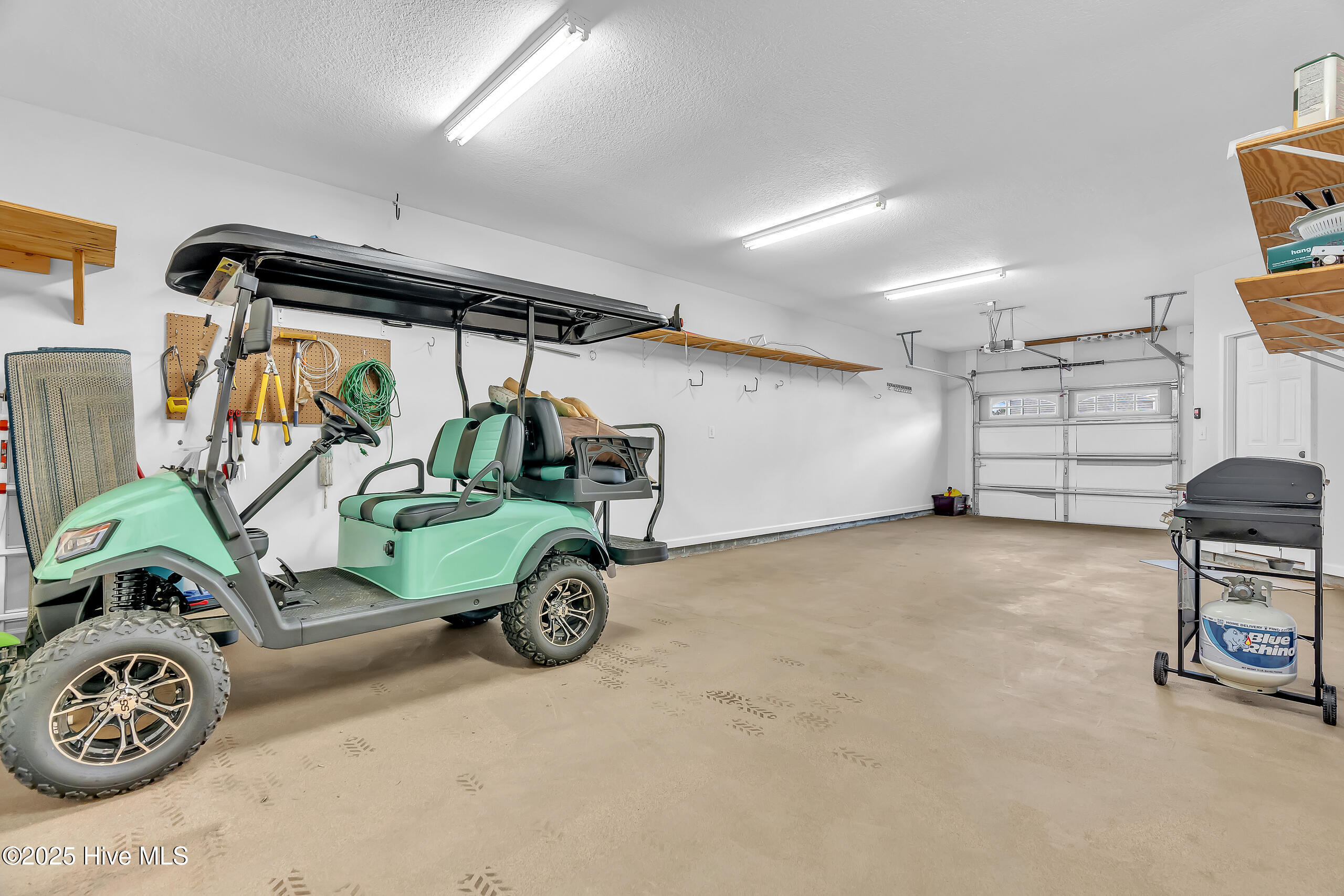 100546927 | Photo 10