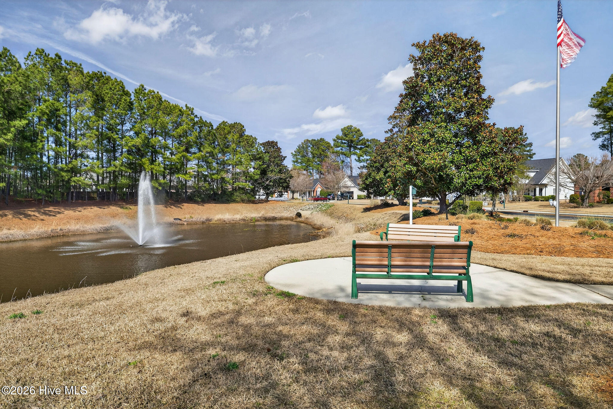 100558563 | Photo 20