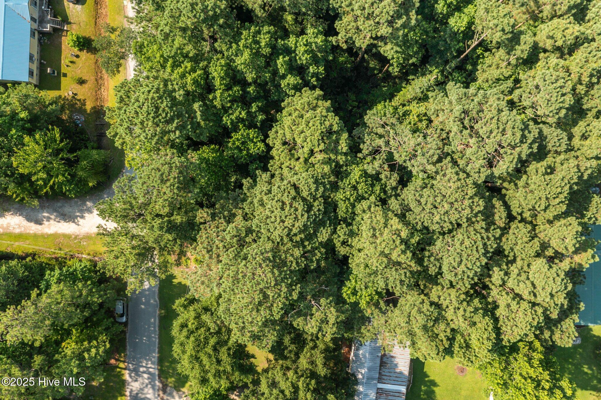 107 Seahorse Drive,Beaufort